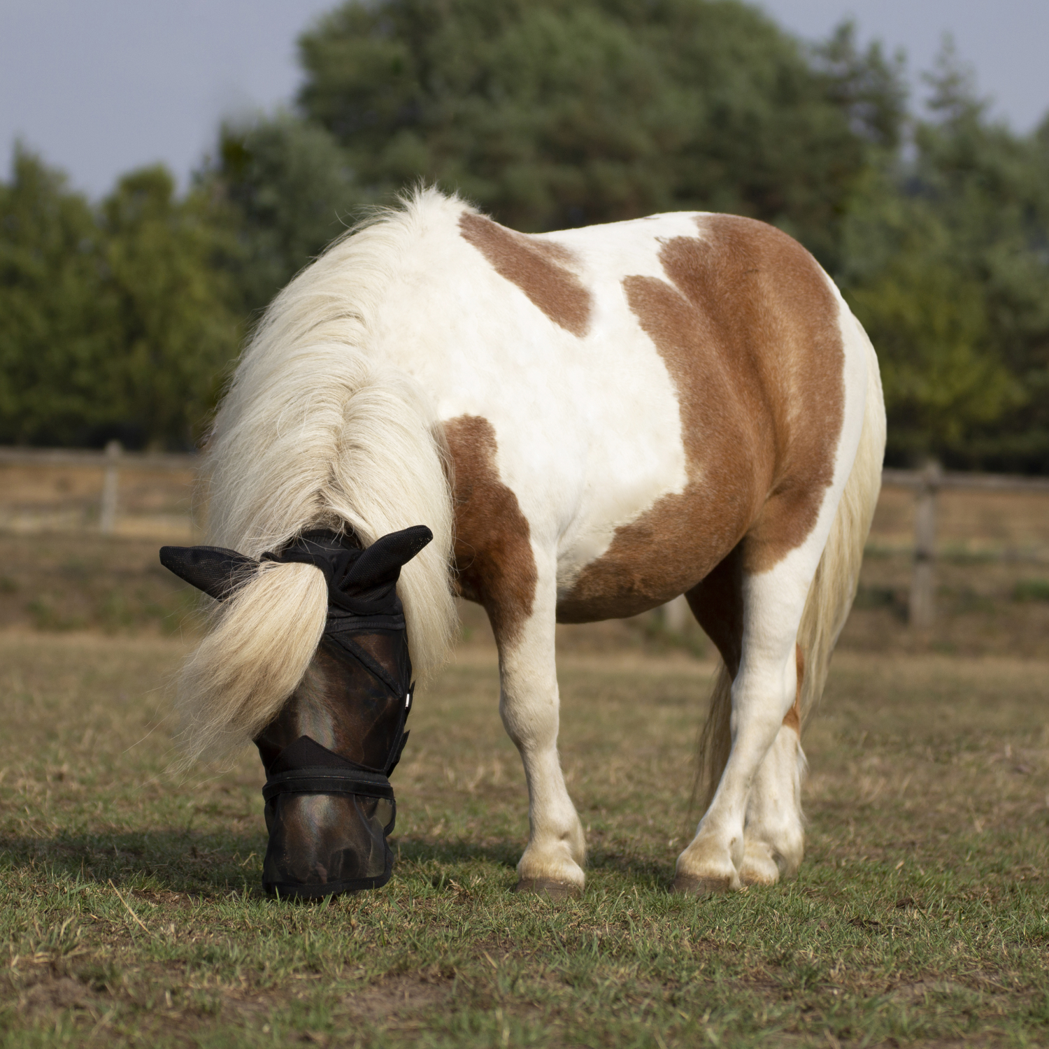 Fliegenmaske Fly Protector
