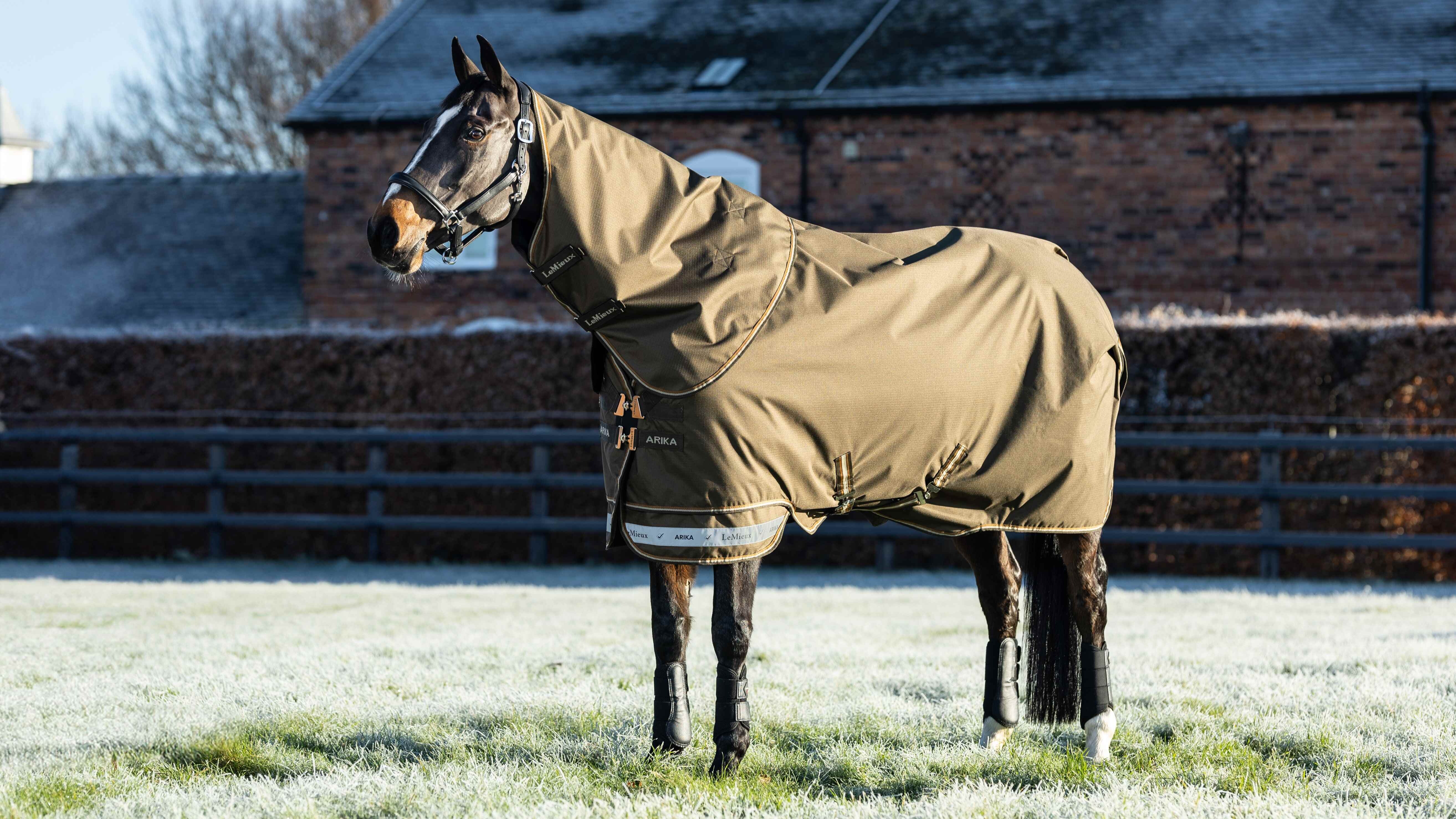 Arika Ripstop weidedeken 200g