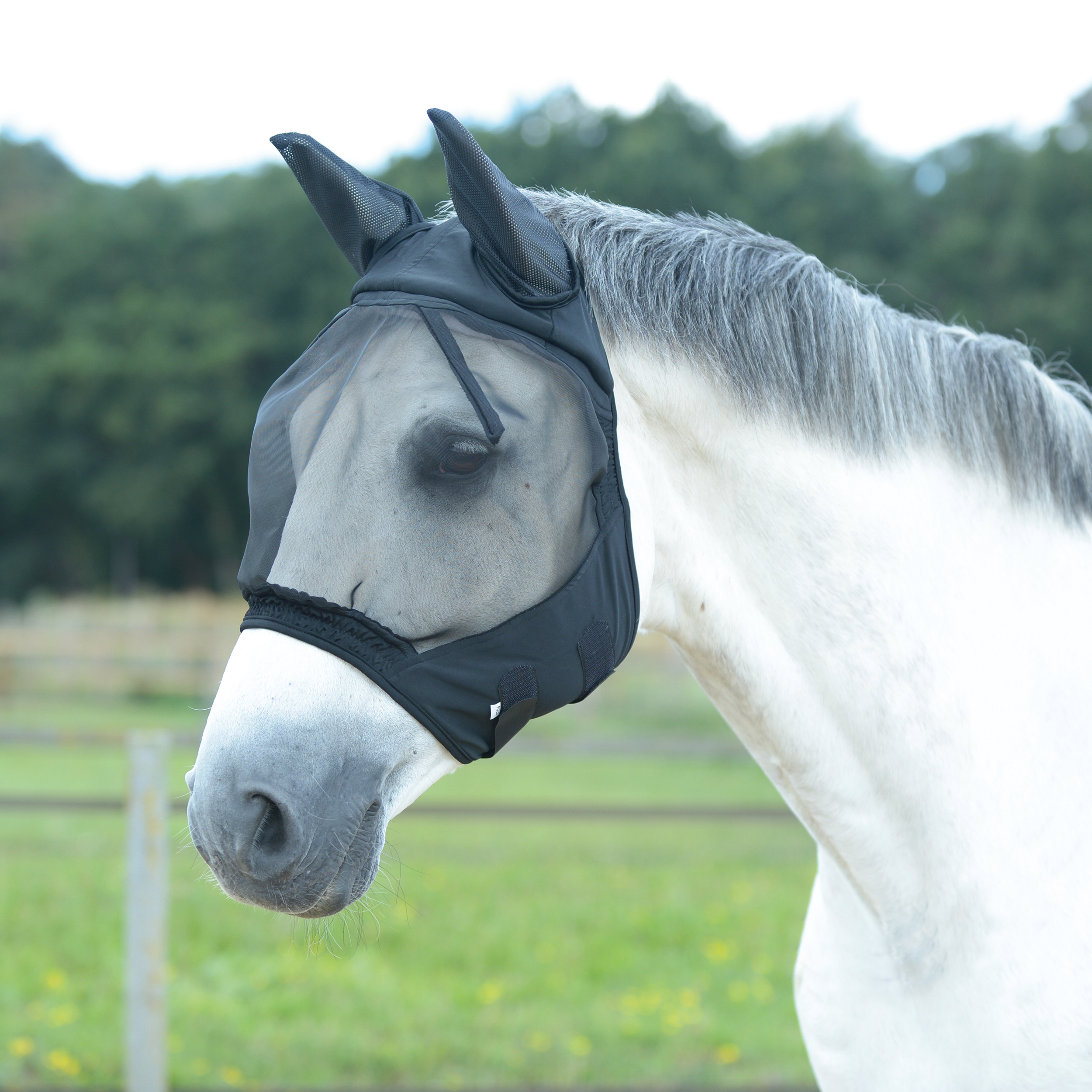 Masque anti-mouches Fly Buckler II