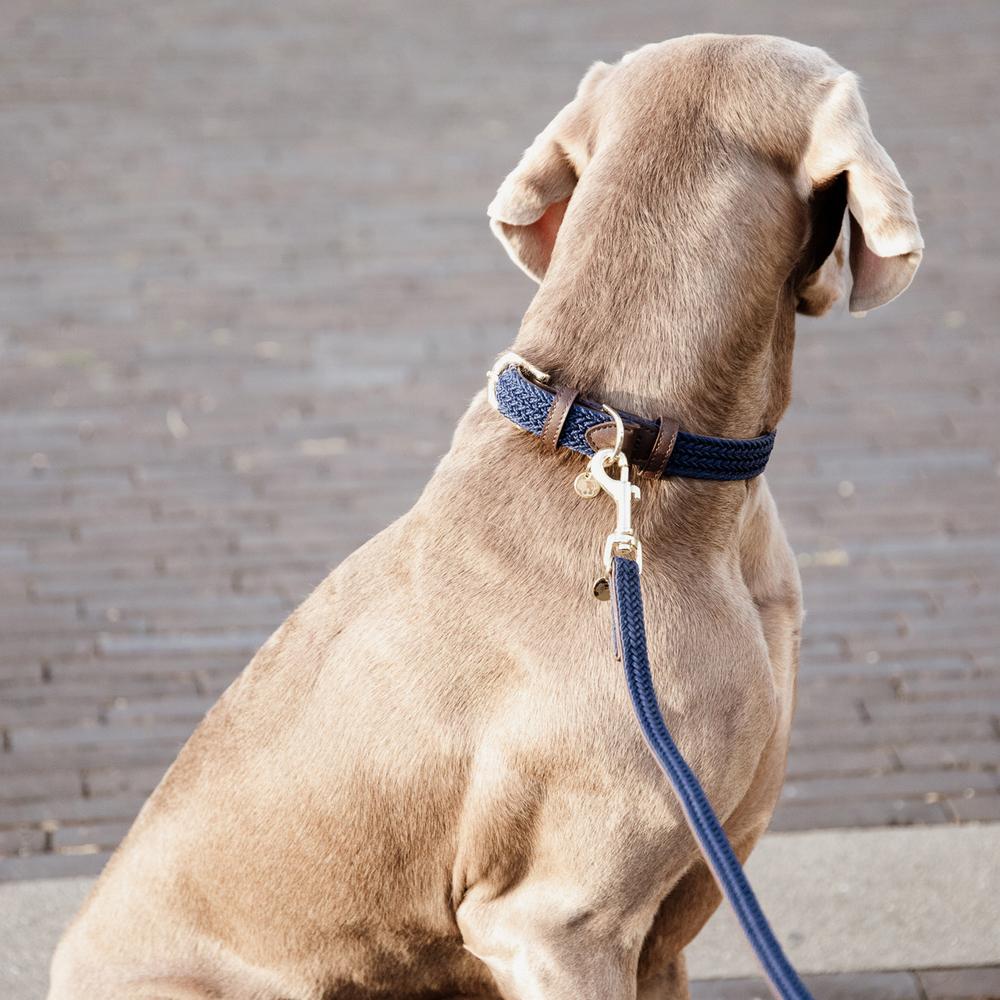 Hunde Leine Plaited Nylon 120 cm