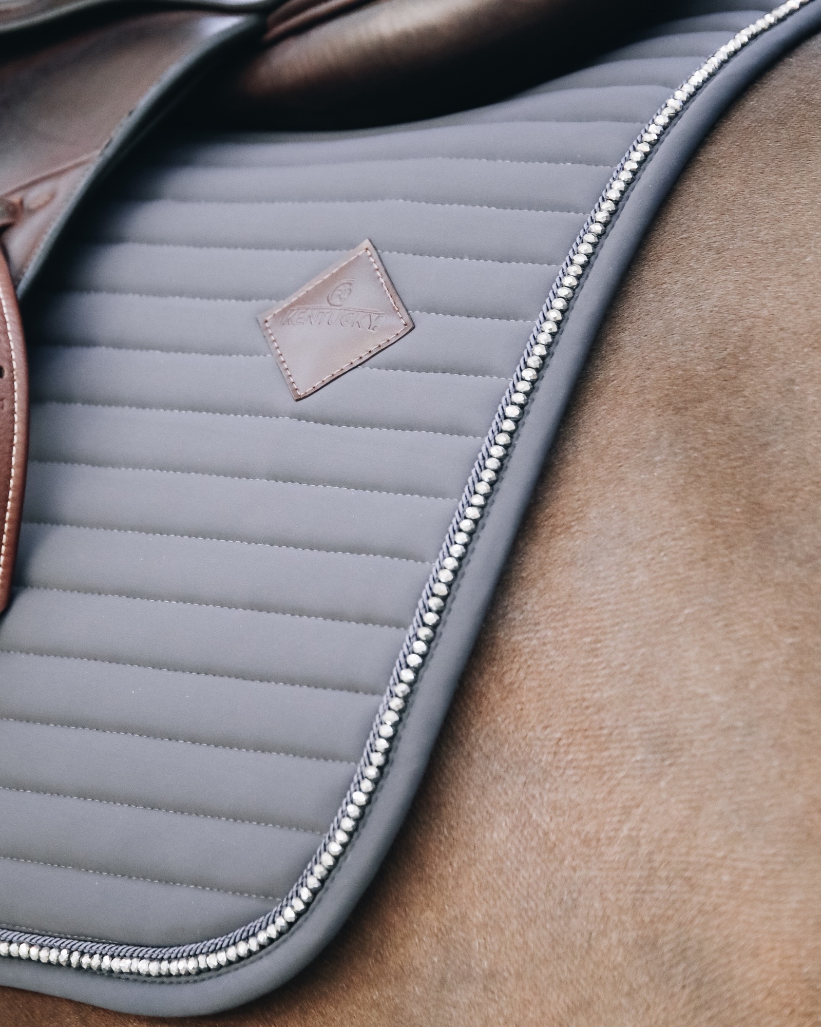 Jumping saddle pad Pearls