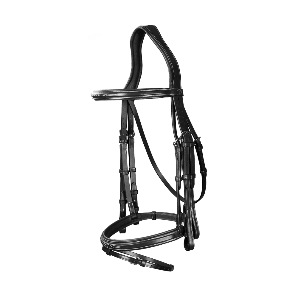 Kandare mit kombiniertem Reithalfter