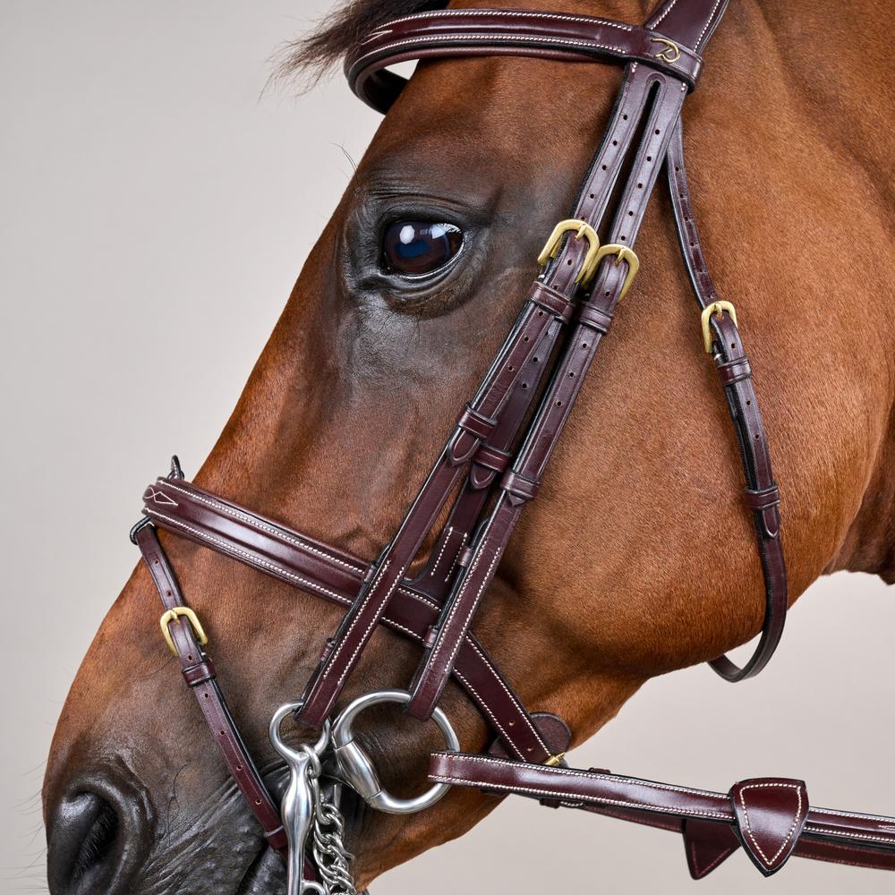 Kandare mit kombiniertem Reithalfter DY | Dy'on