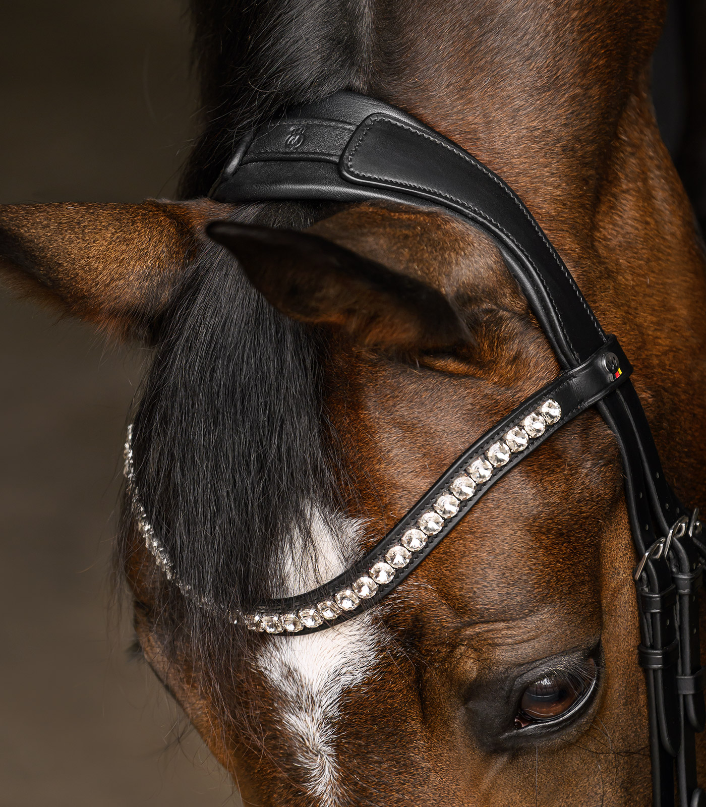 Trensenzaum X-Line Evermore, schwedisch komb.