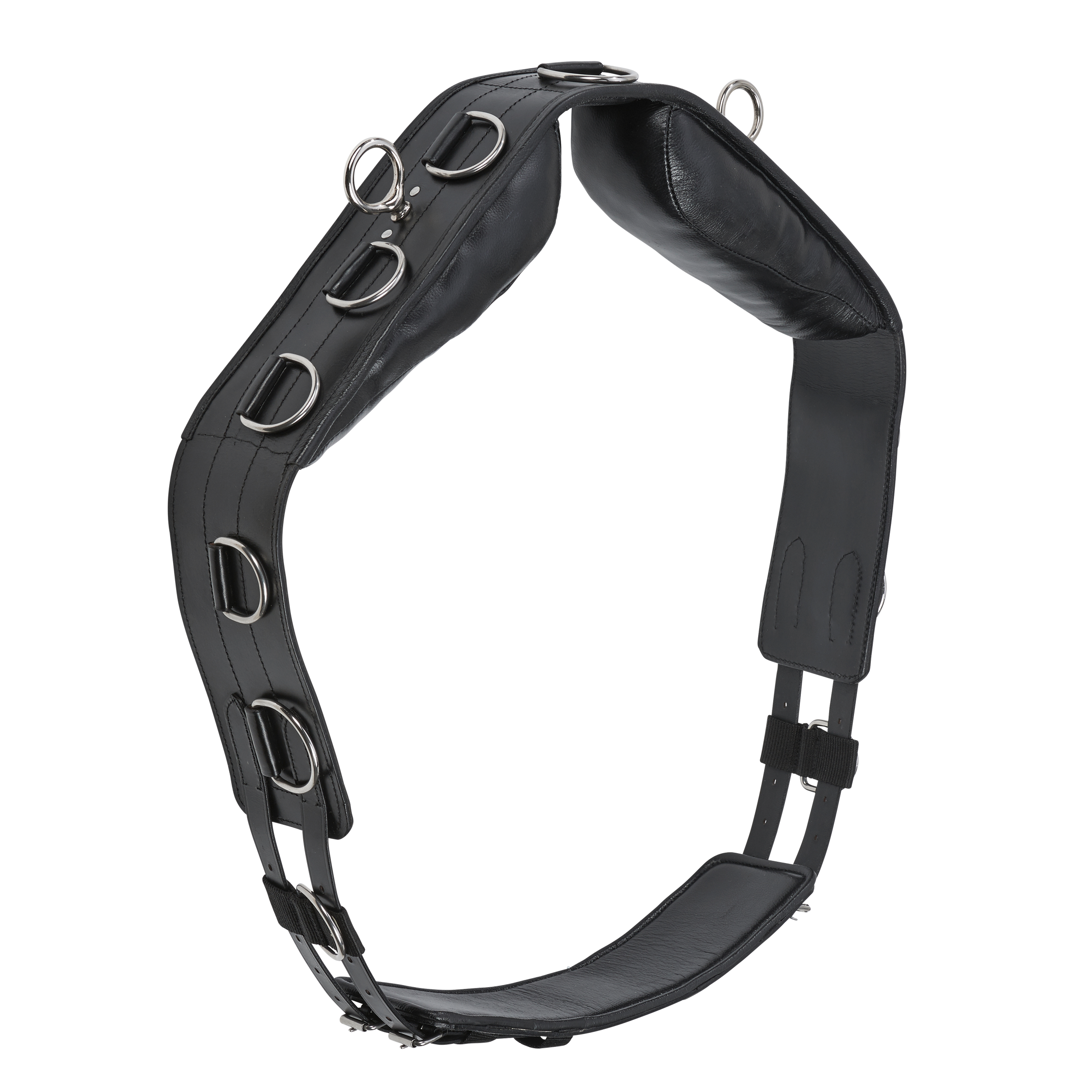 Longiergurt Professional-cuir