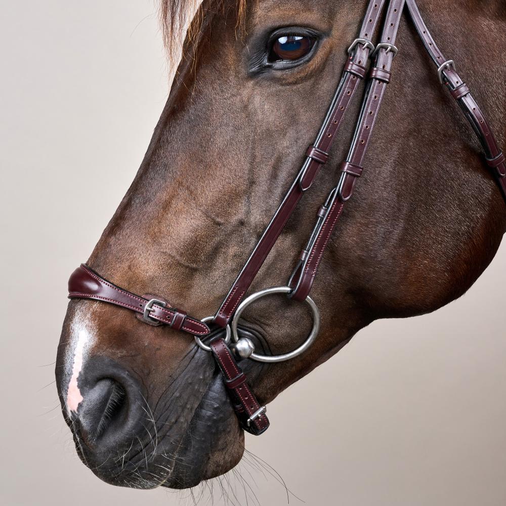Trense mit verstellbarem hannoverschem Reithalfter NE