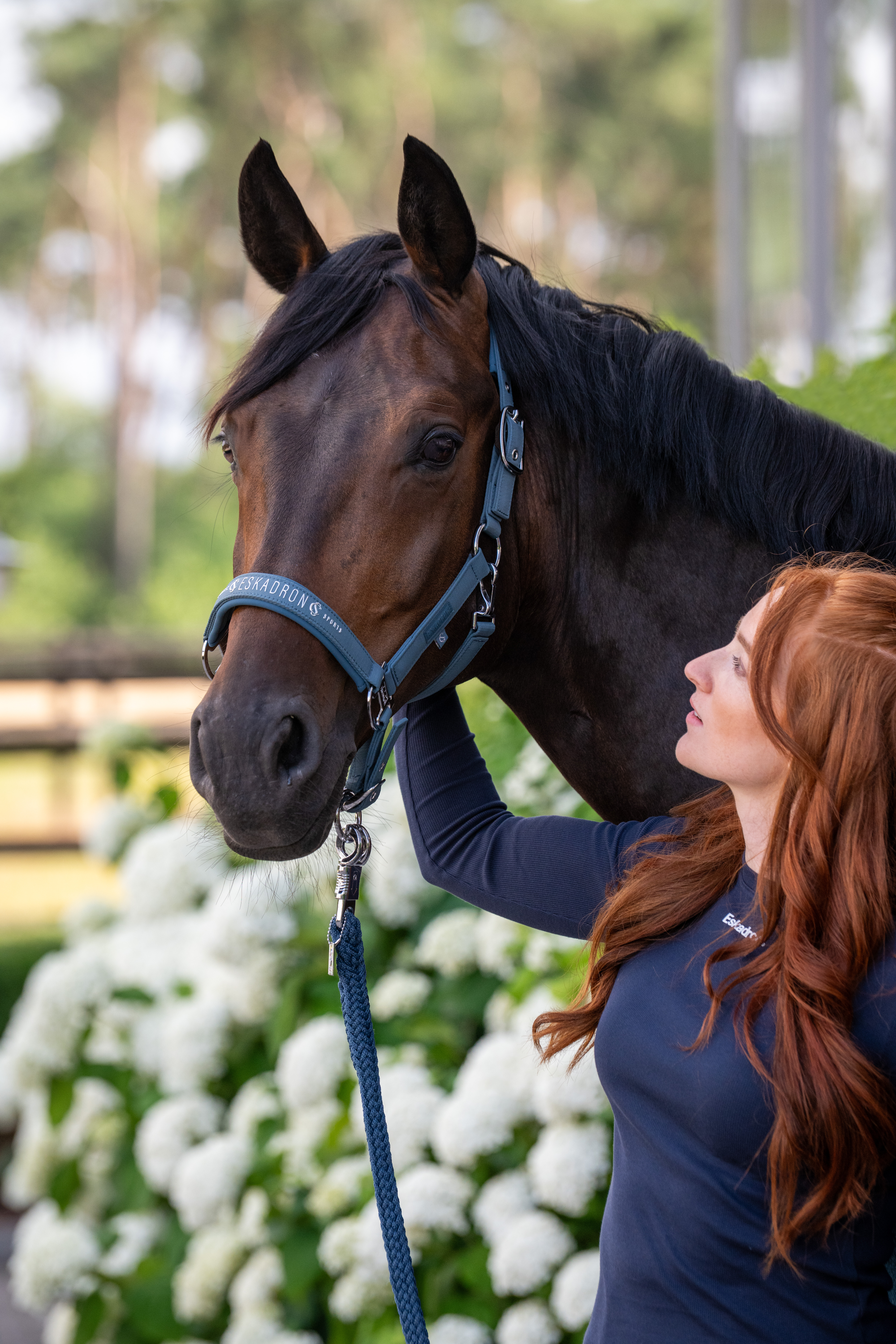 Halfter Classic Sports Sparkle