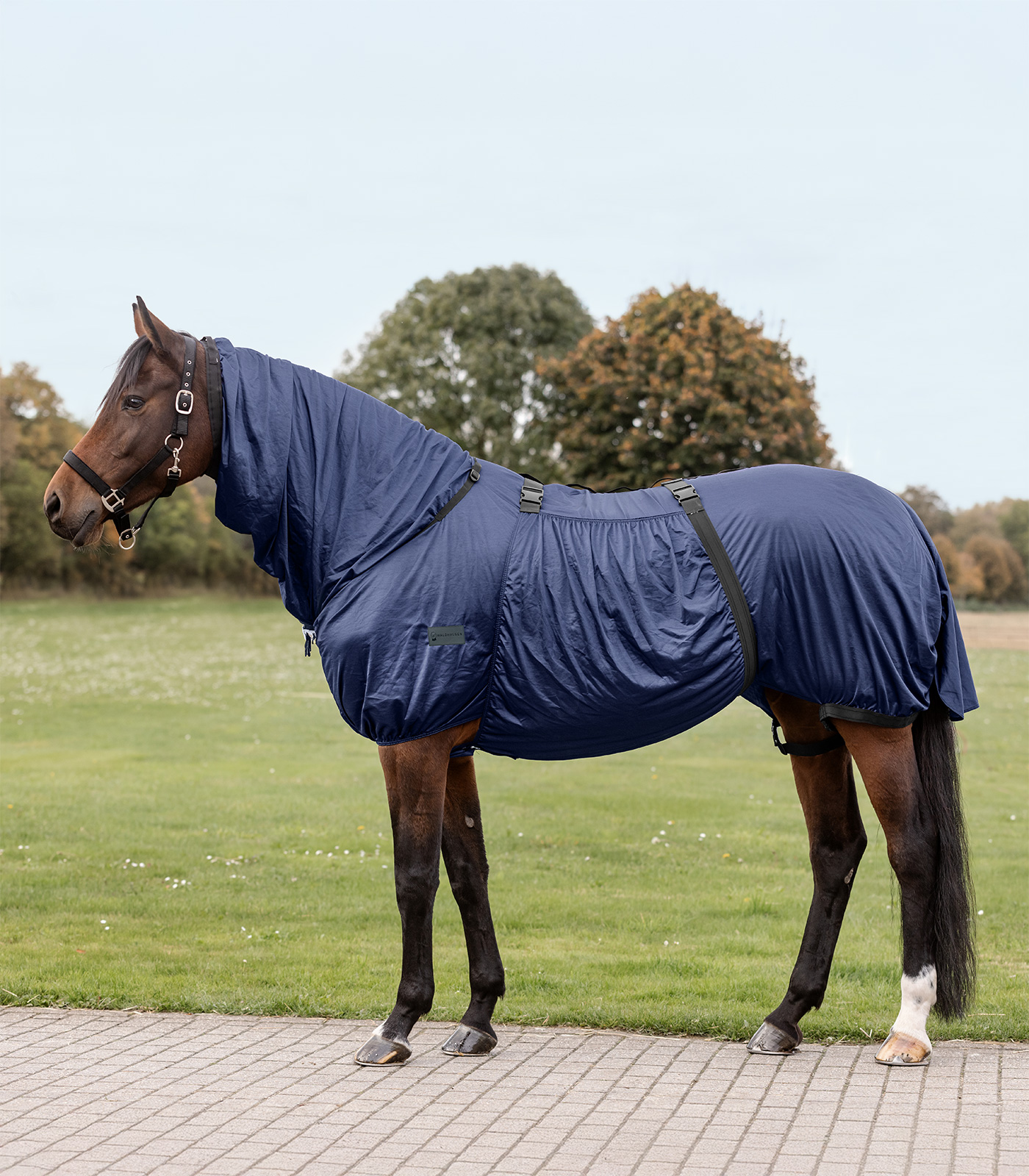 Ekzemerdecke Basic Ekzemerdecke Basic