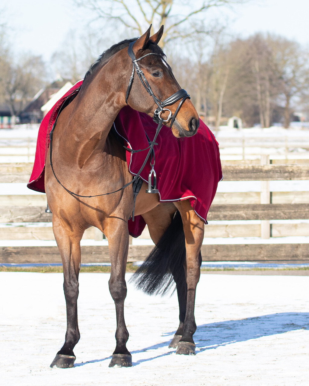 Riding rug fleece with ornament