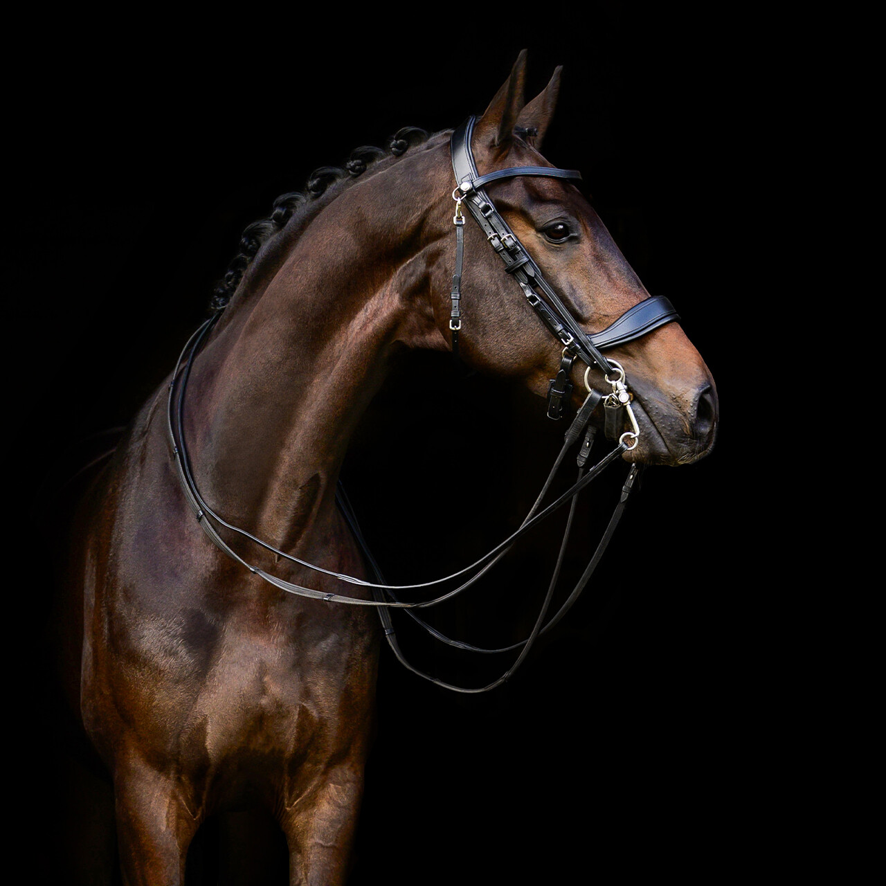 Double bridle FayPerform