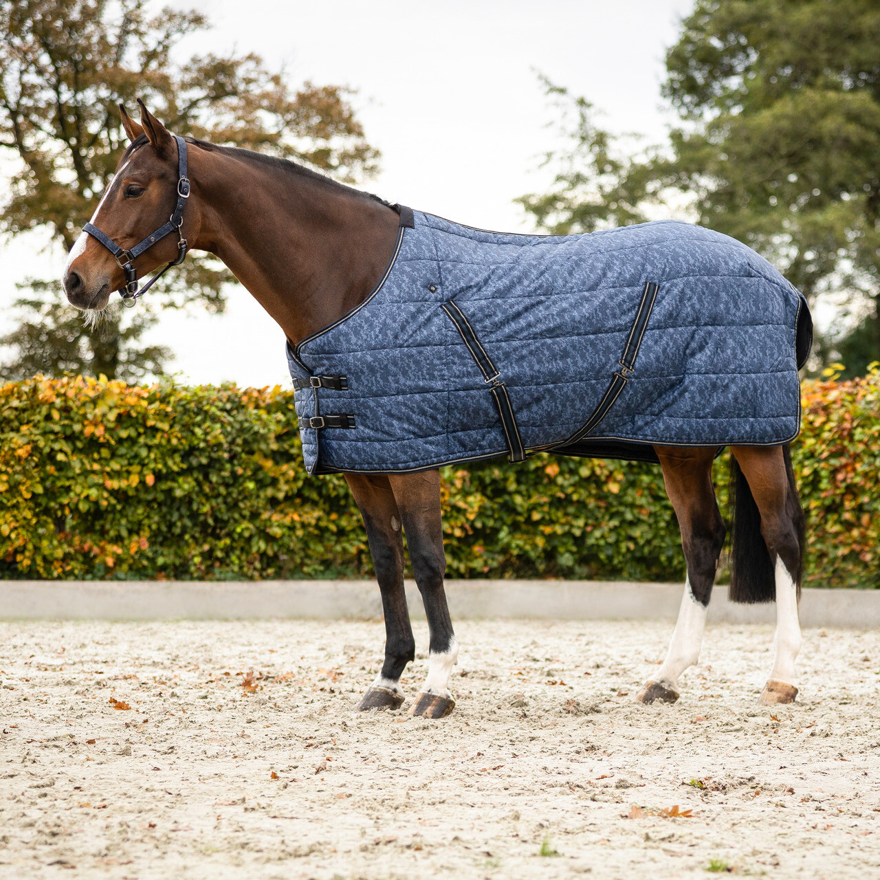 Stalldecke Start Collection 200gr