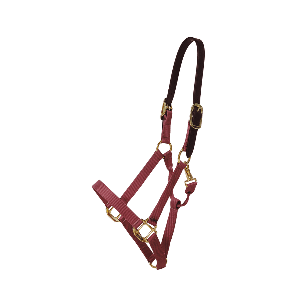 Licol nylon Breakaway