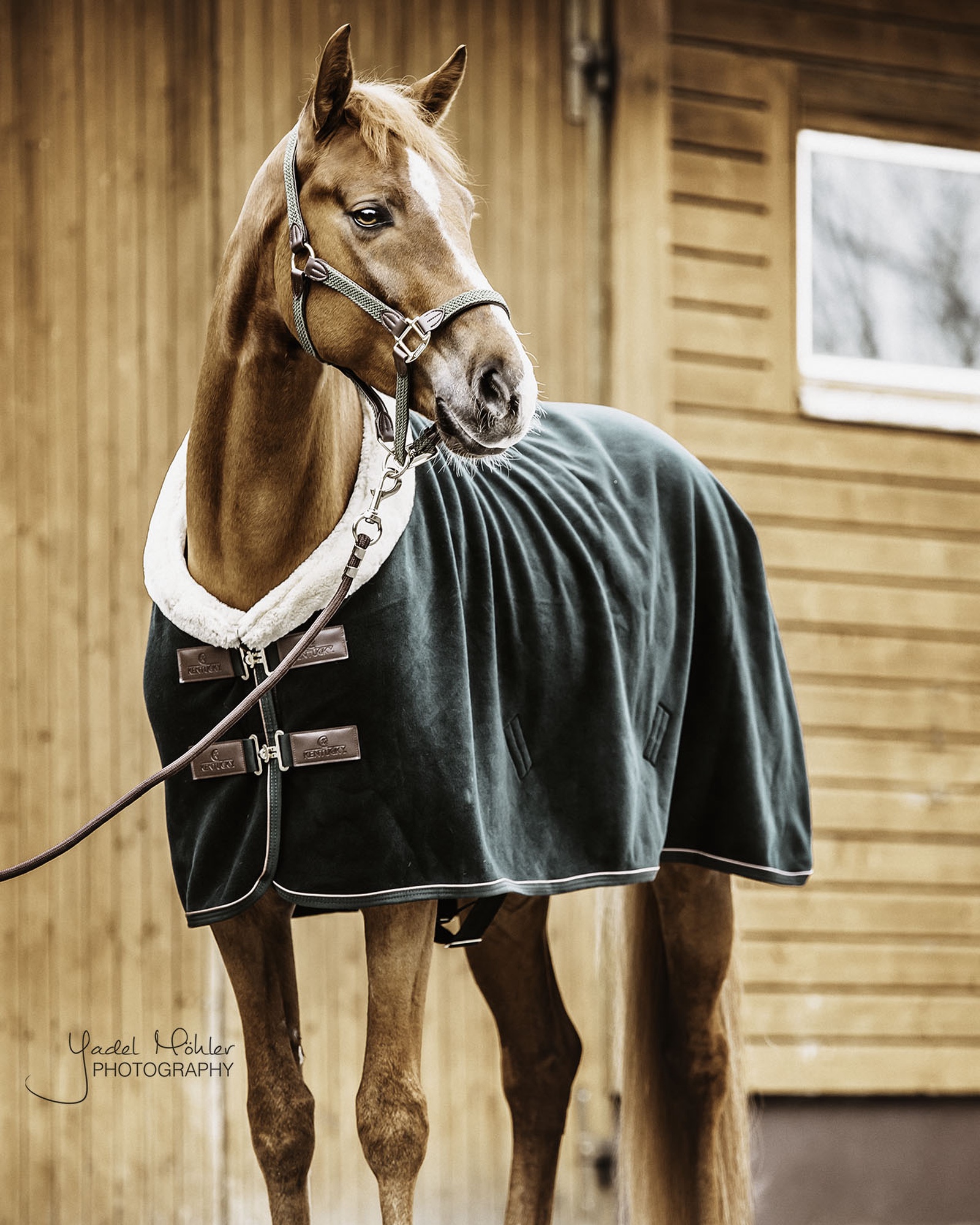 Fleece Show Heavy sweat rug