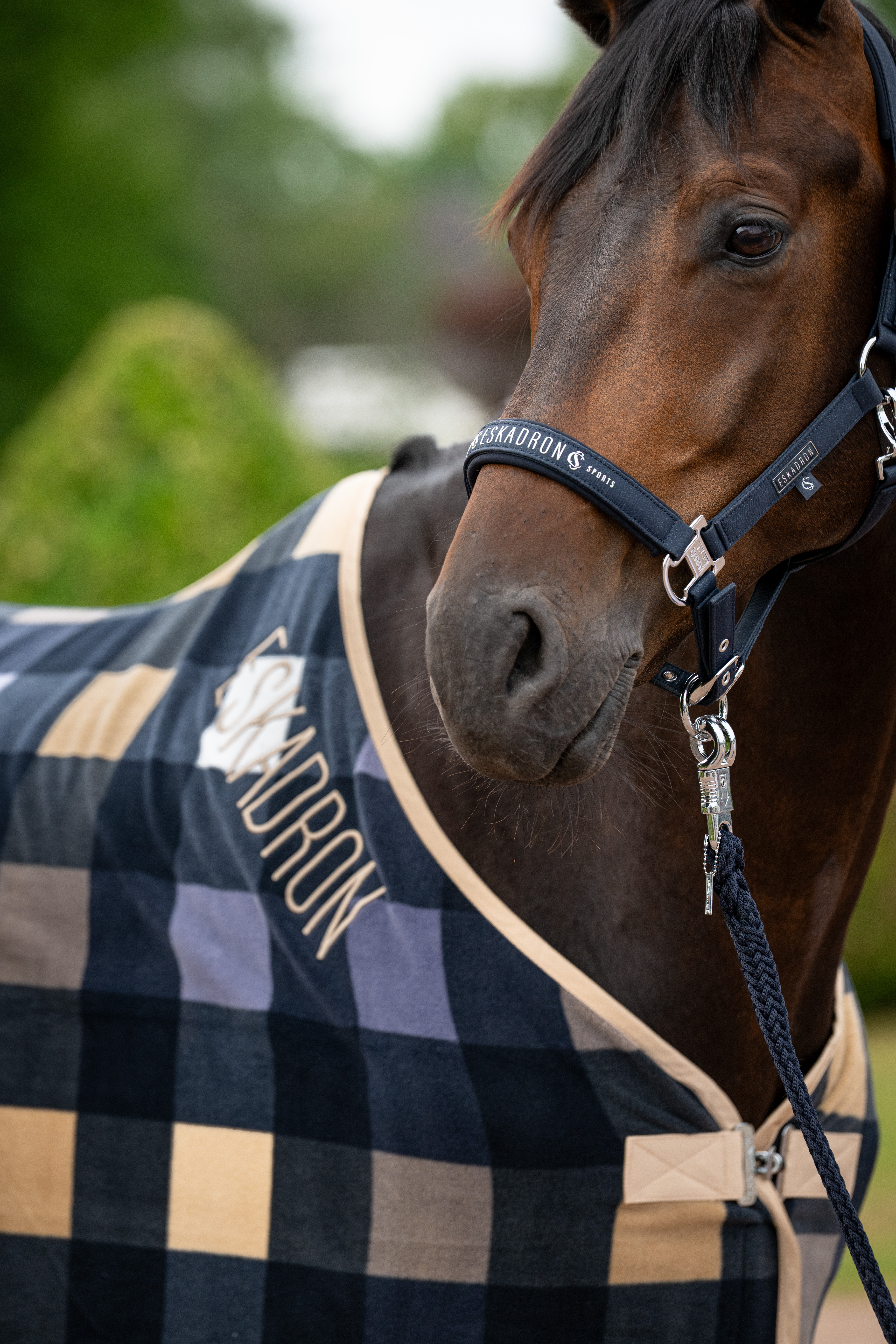 Halfter Classic Sports Sparkle