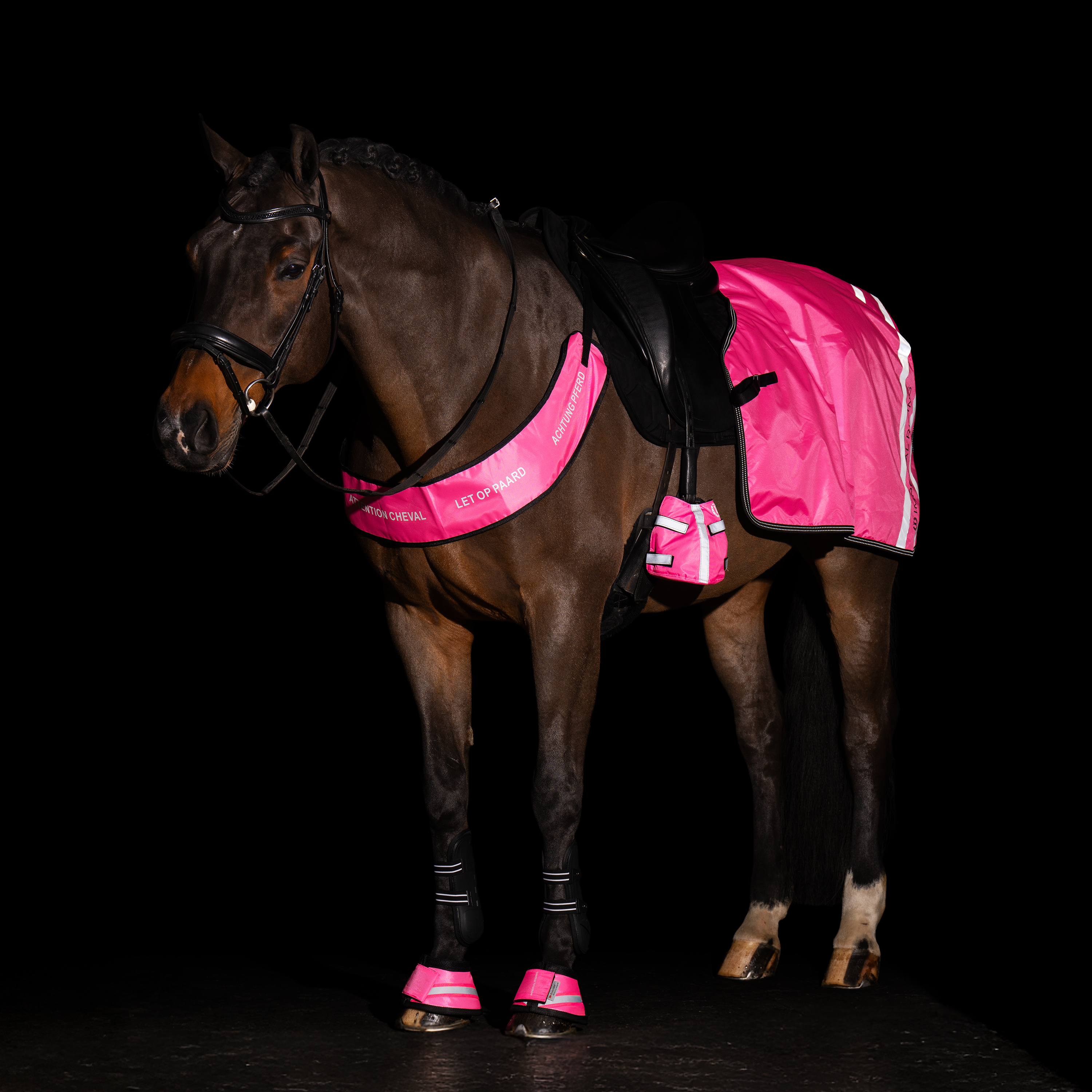 Ausreitdecke Reflective