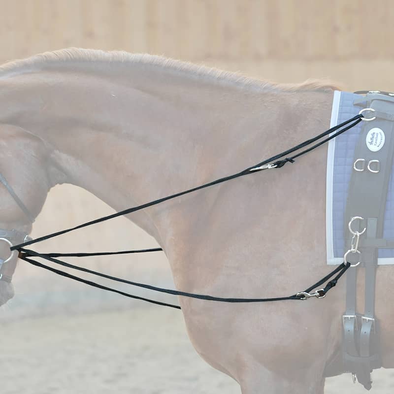 Phillips reins "Easy" - Nylon