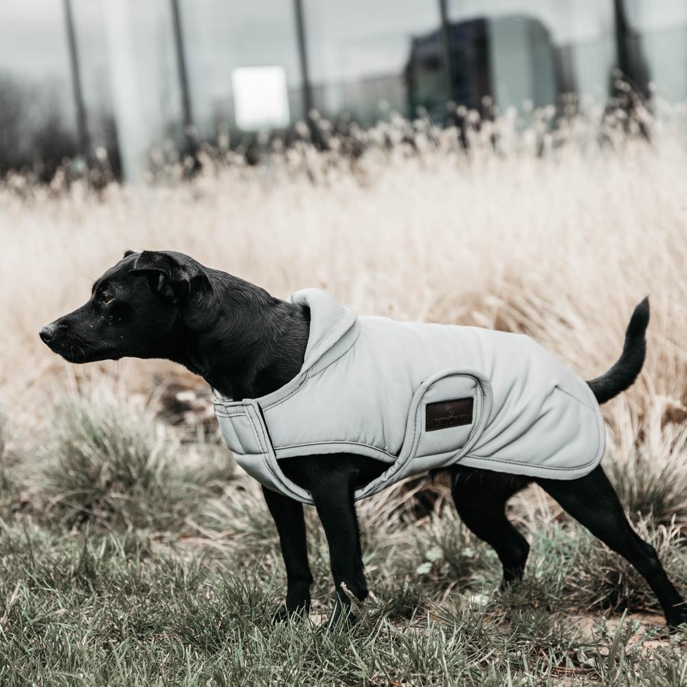Hundemantel Reflektierend & Wasserabweisend Bauchlatz | Kentucky Dogwear