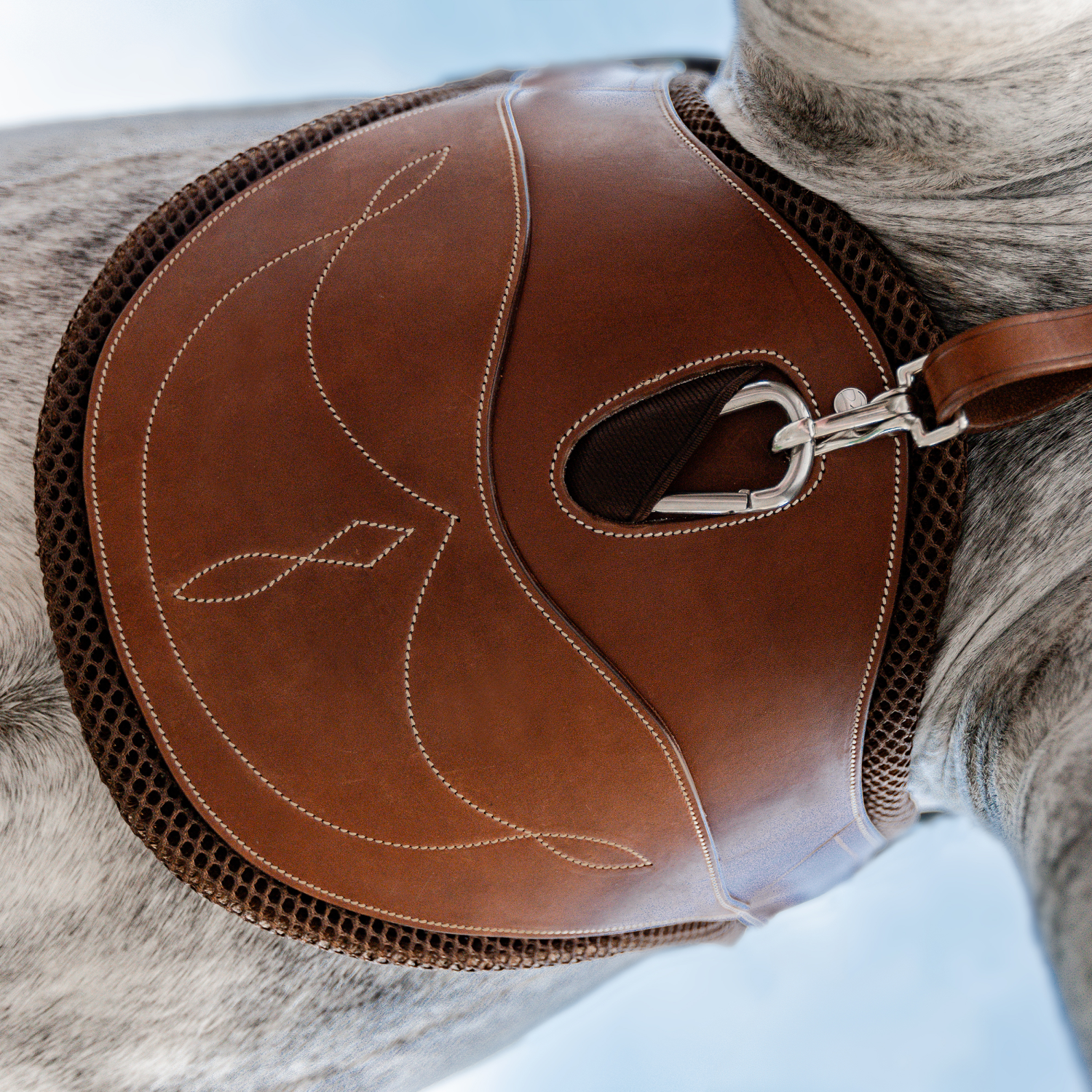 Sattelgurt Take-Off Line SG