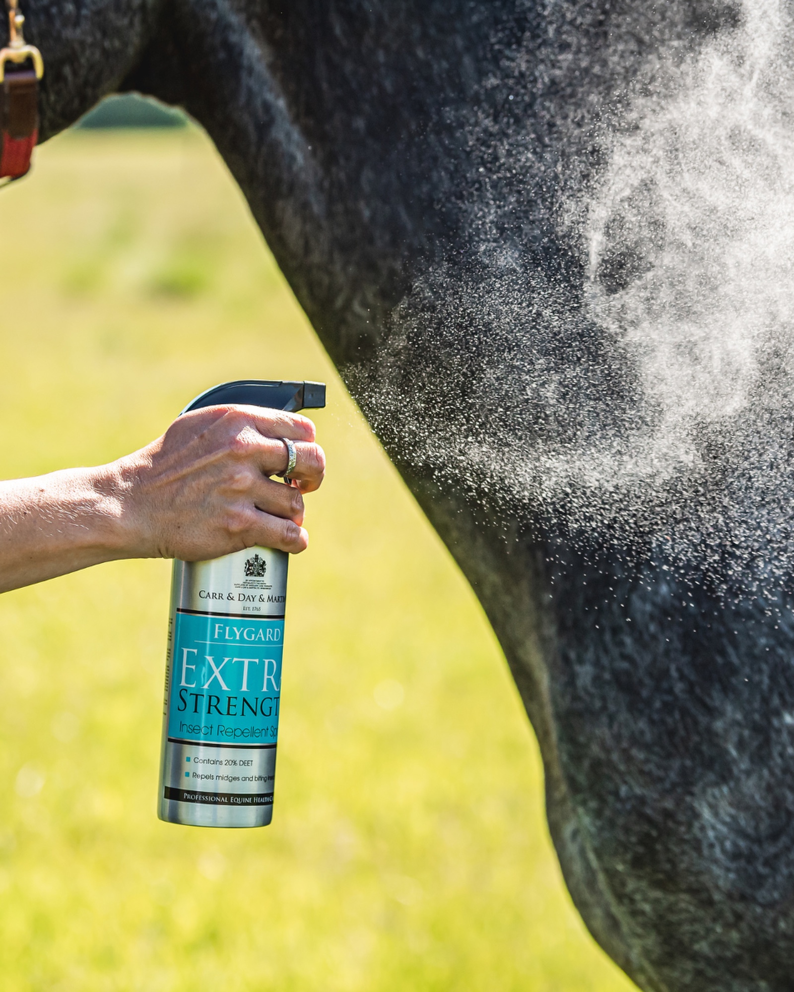 Fly Spray Extra Strength Insect Repellent, 500 ml