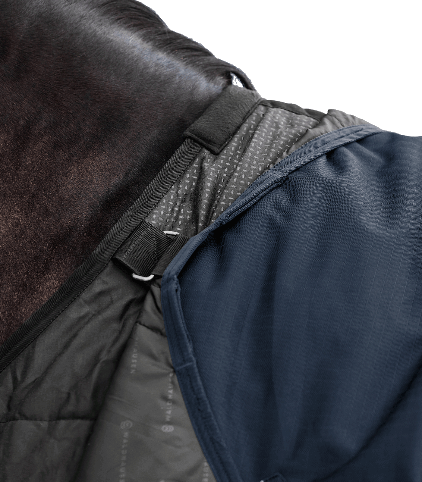 Outdoor blanket Scandic, 100g