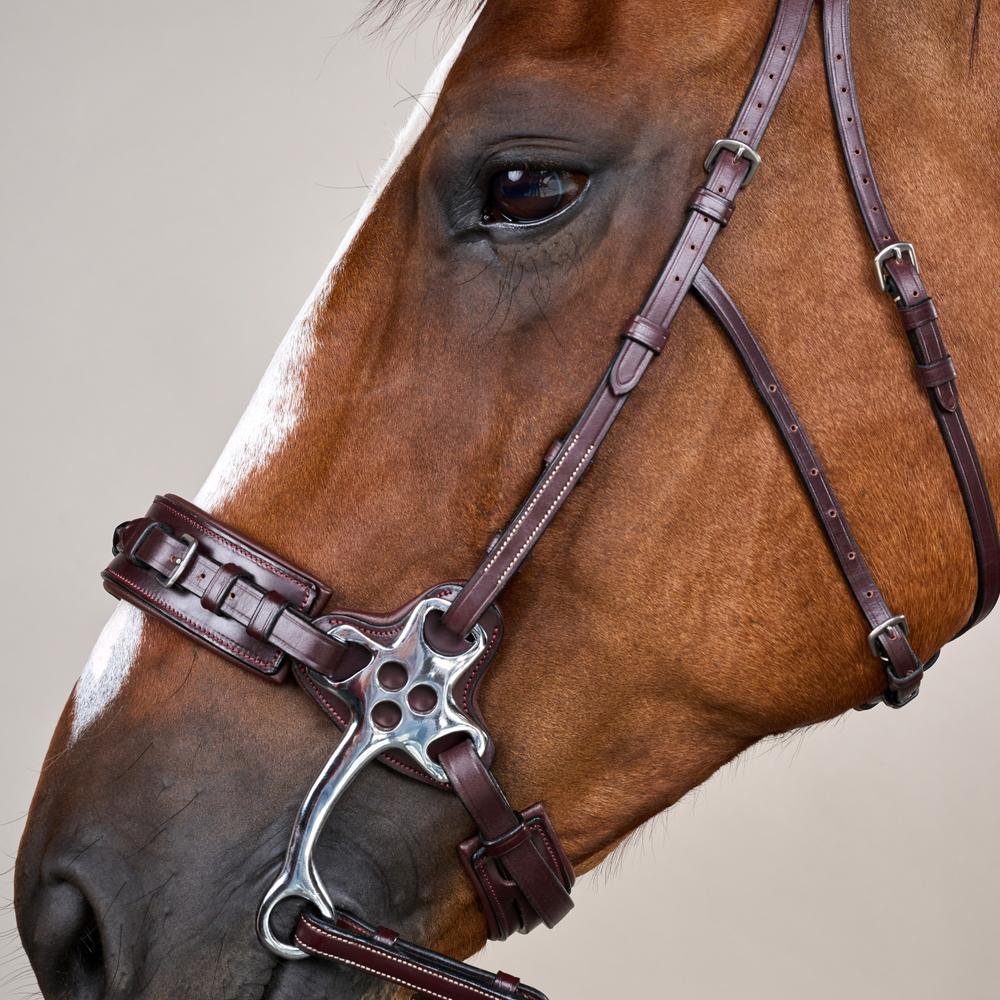 Hackamore-Zaum US