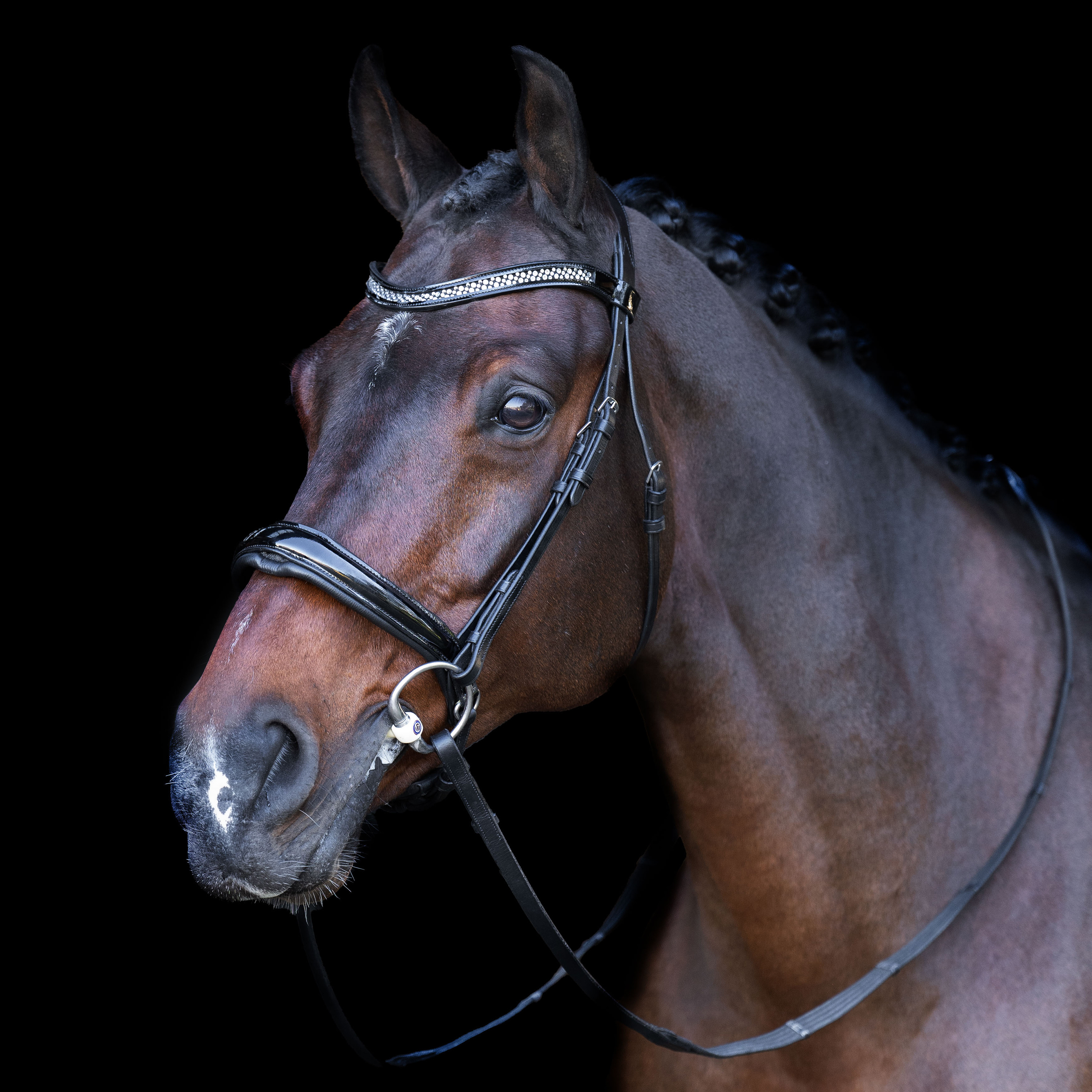 Snaffle bridle with English noseband