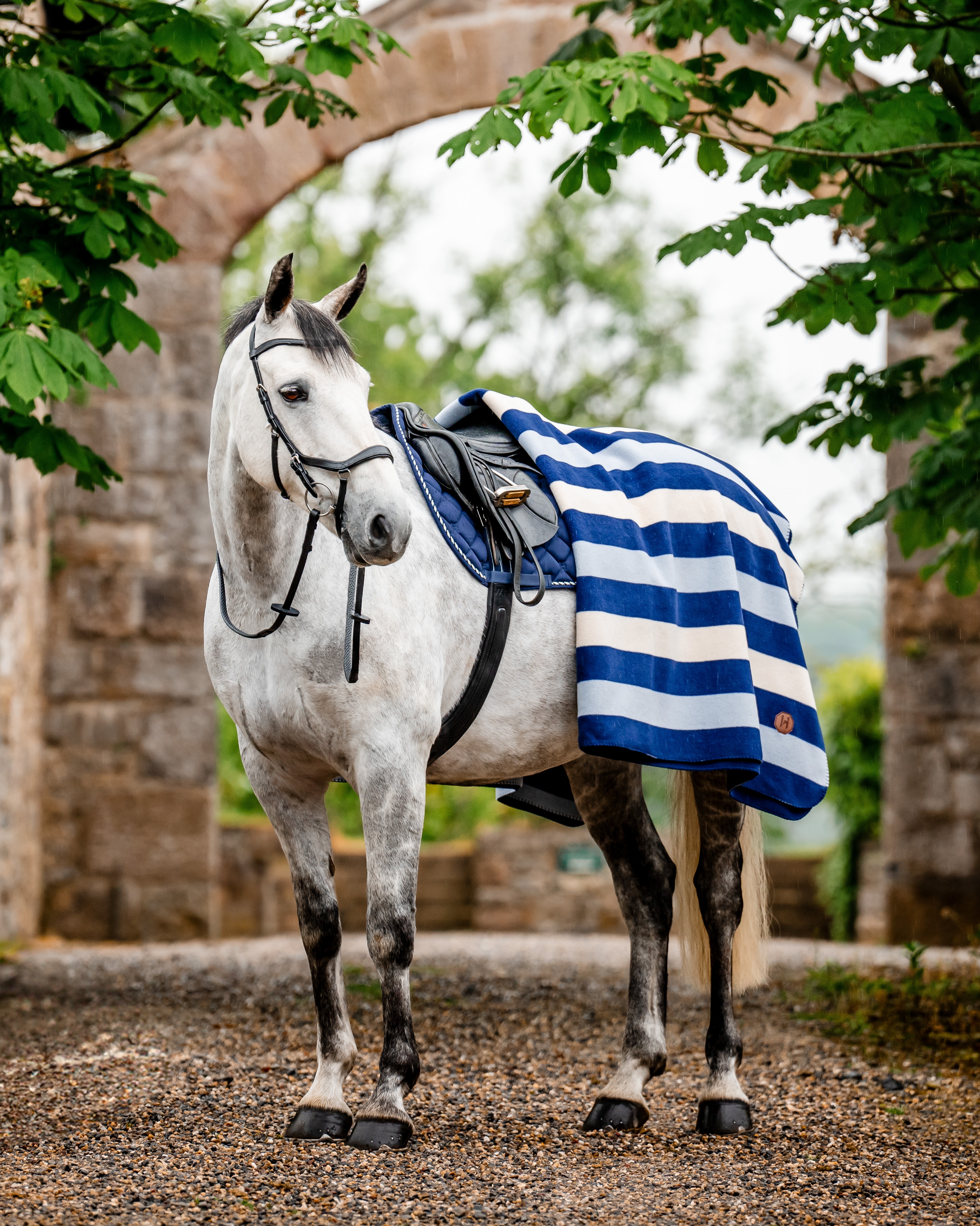 Abschwitzdecke Newmarket