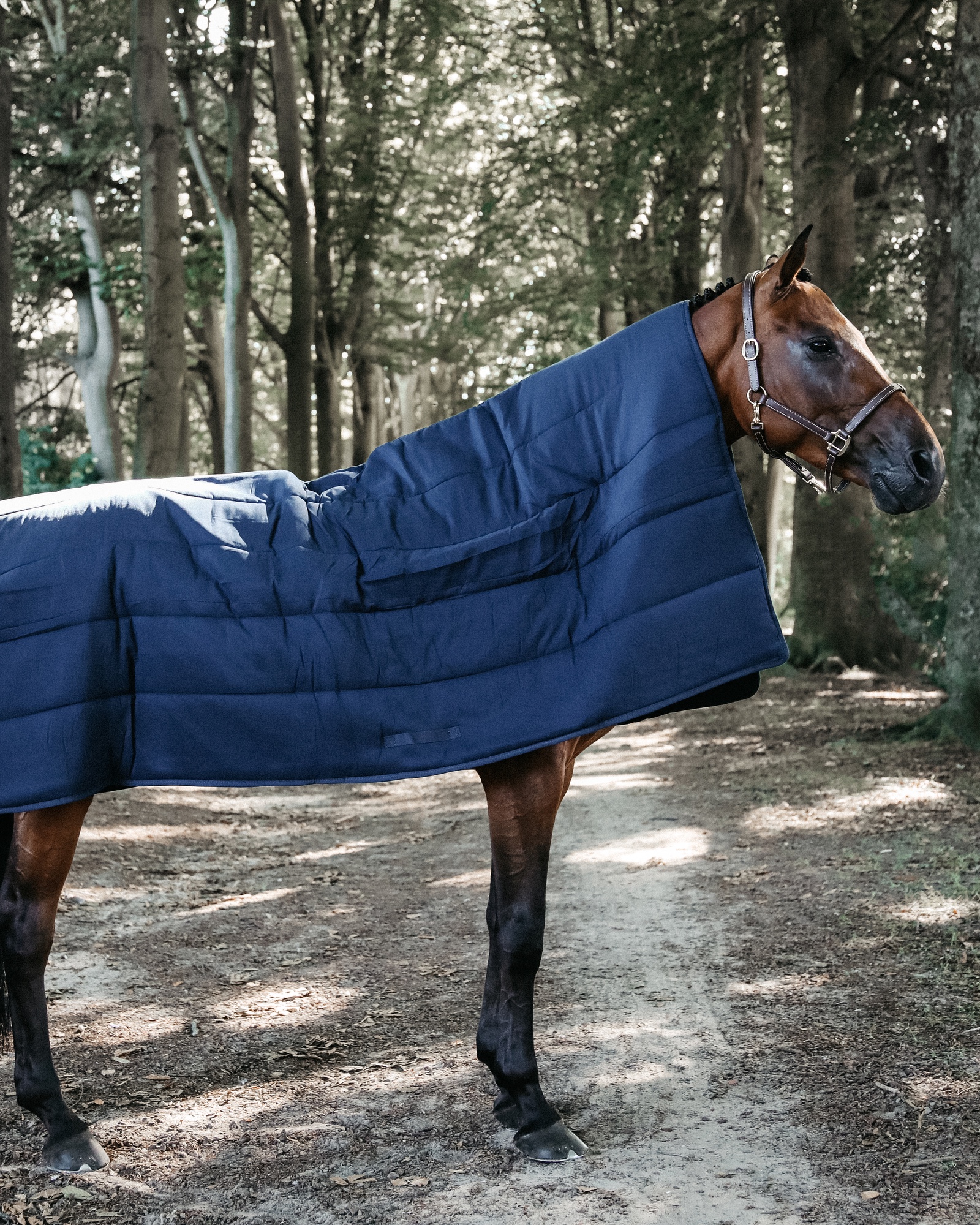 Down duvet horse 300g