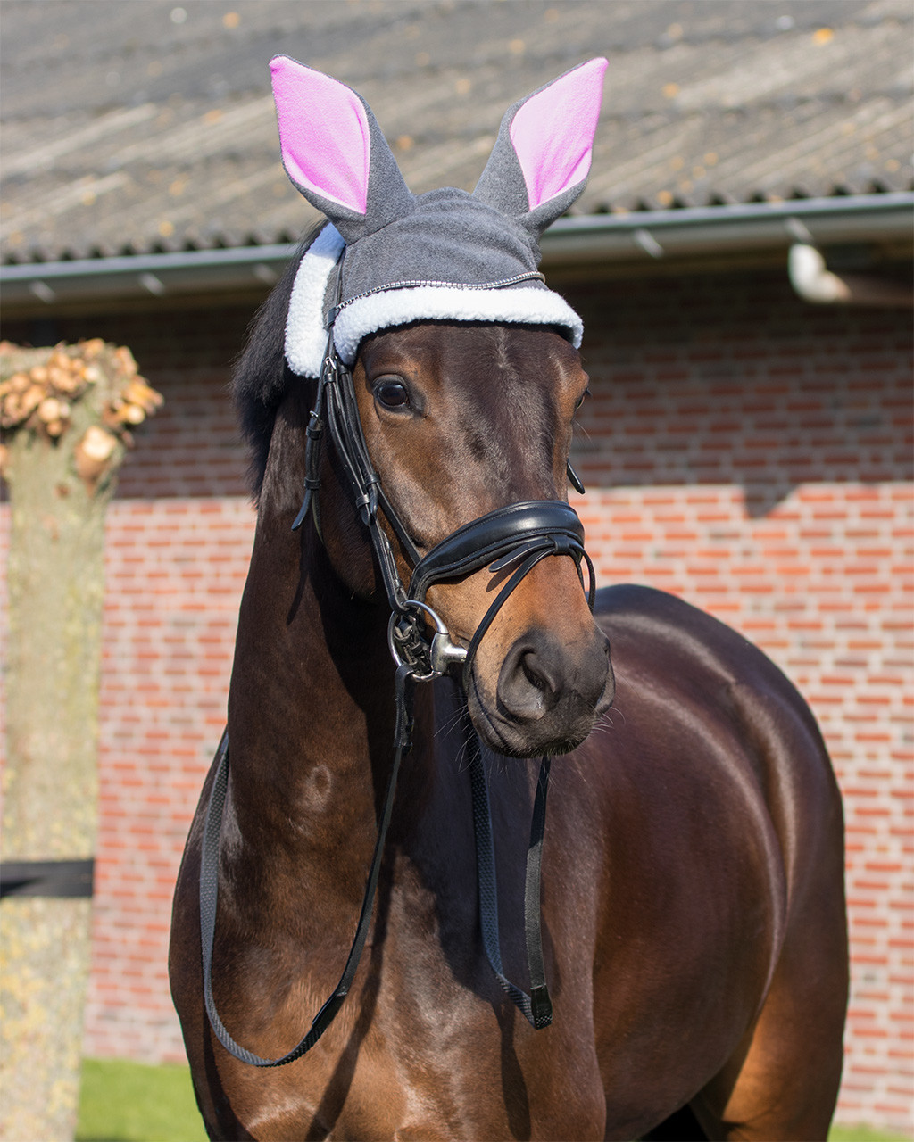 Fly ears Easter bunny