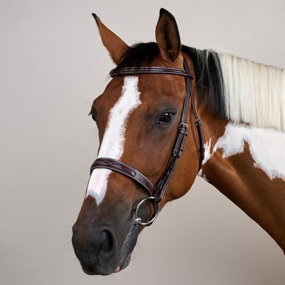 Cavesson Hunter Trense mit englischem Reithalfter US