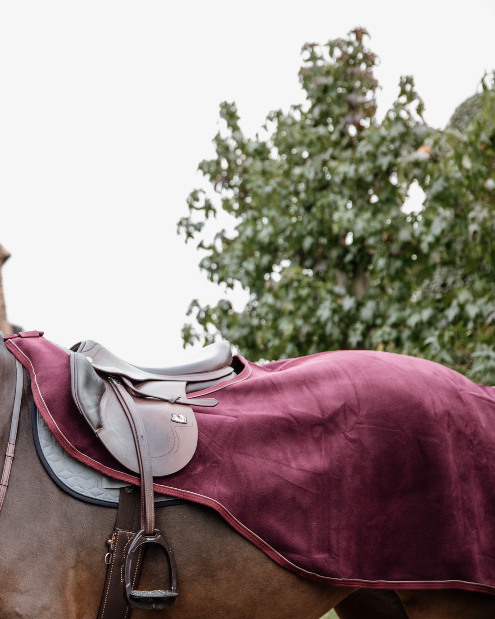Riding rug heavy fleece