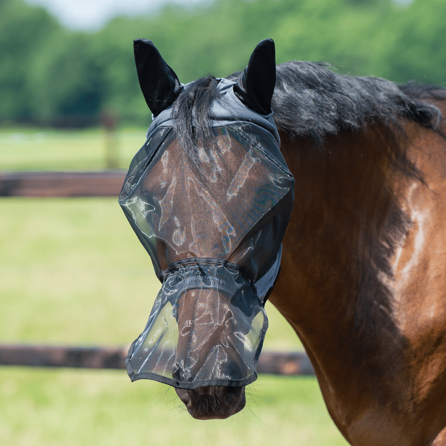 Fliegenmaske Fly Buckler Gap Plus