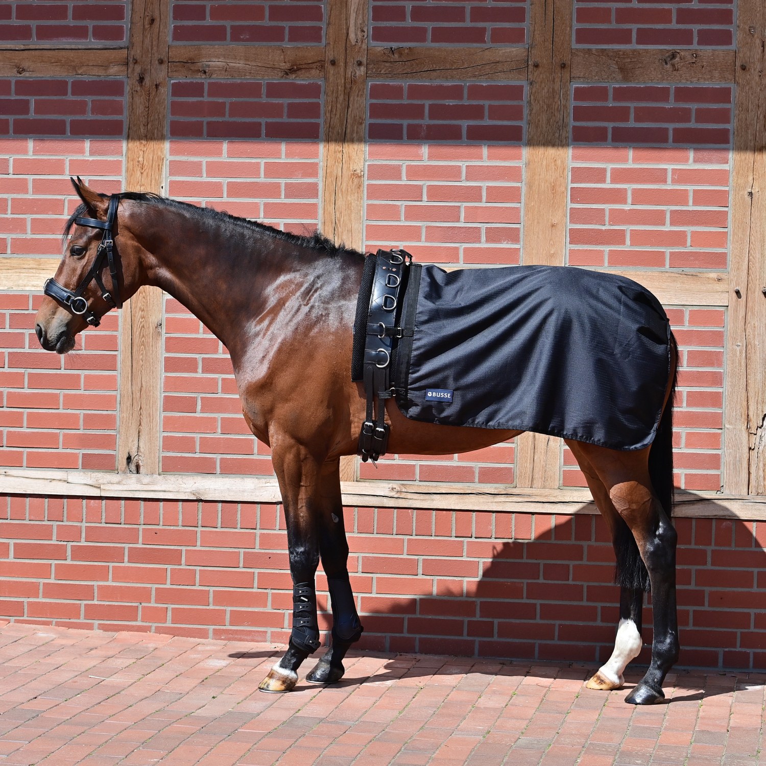 Longierdecke Rain 50