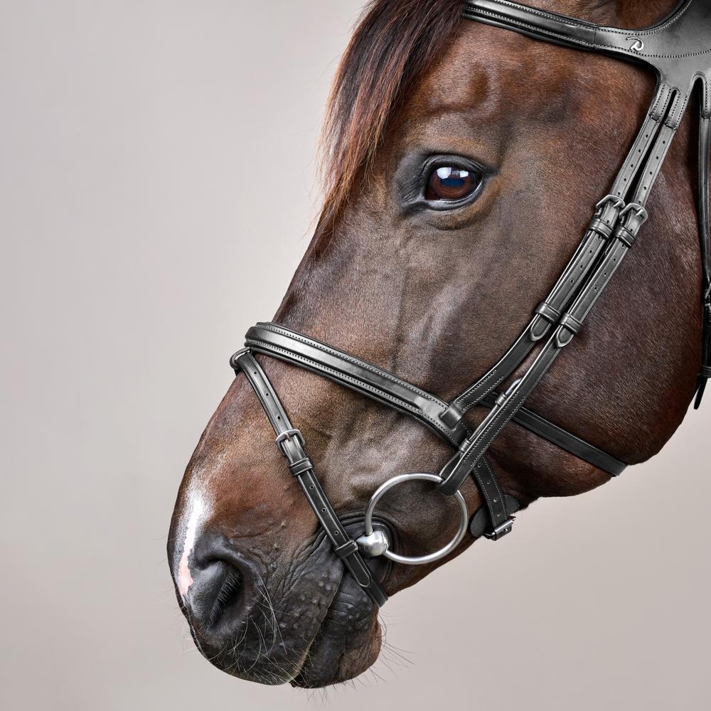 Difference Trense NE