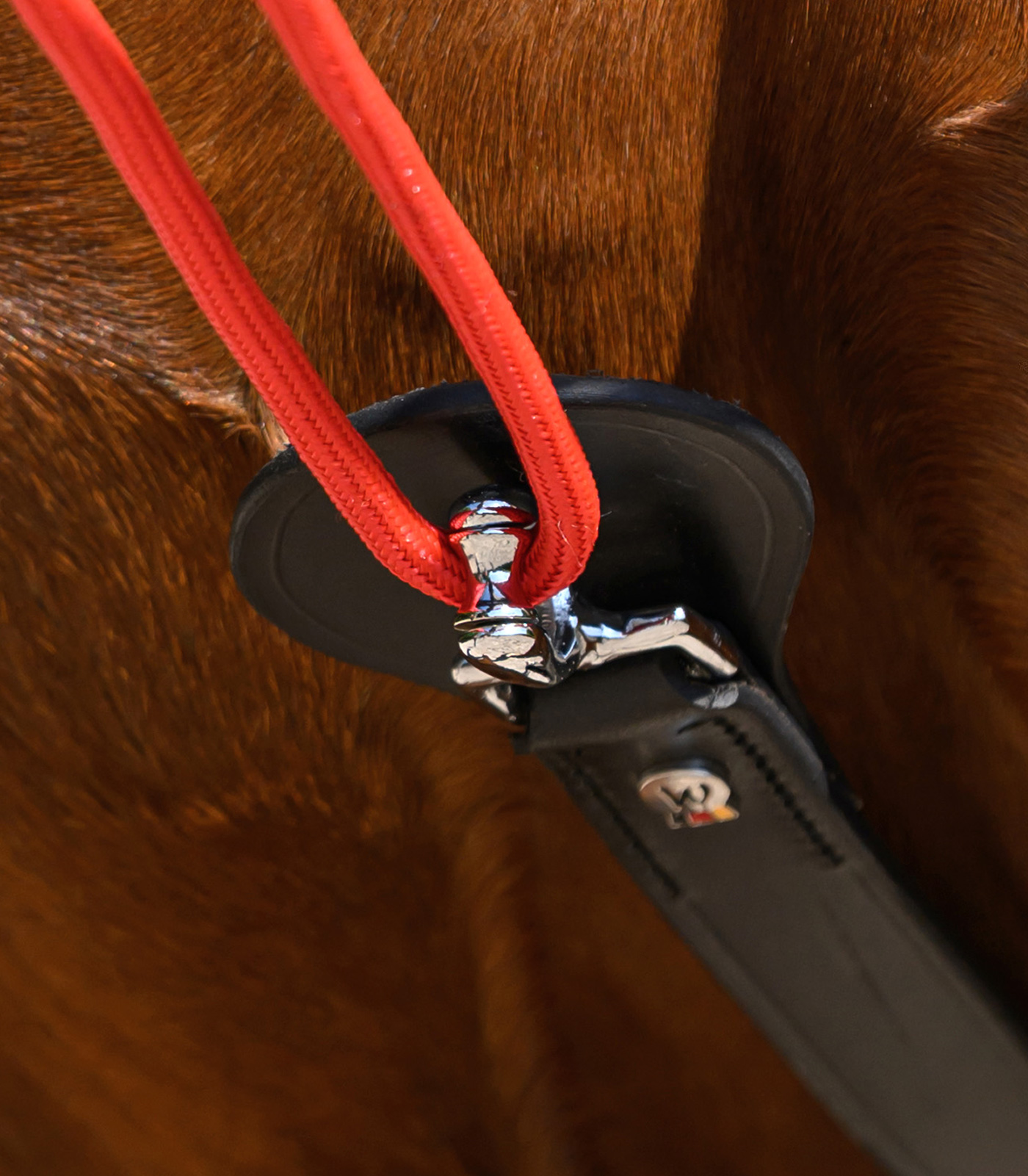 Triangular reins W-trainRein