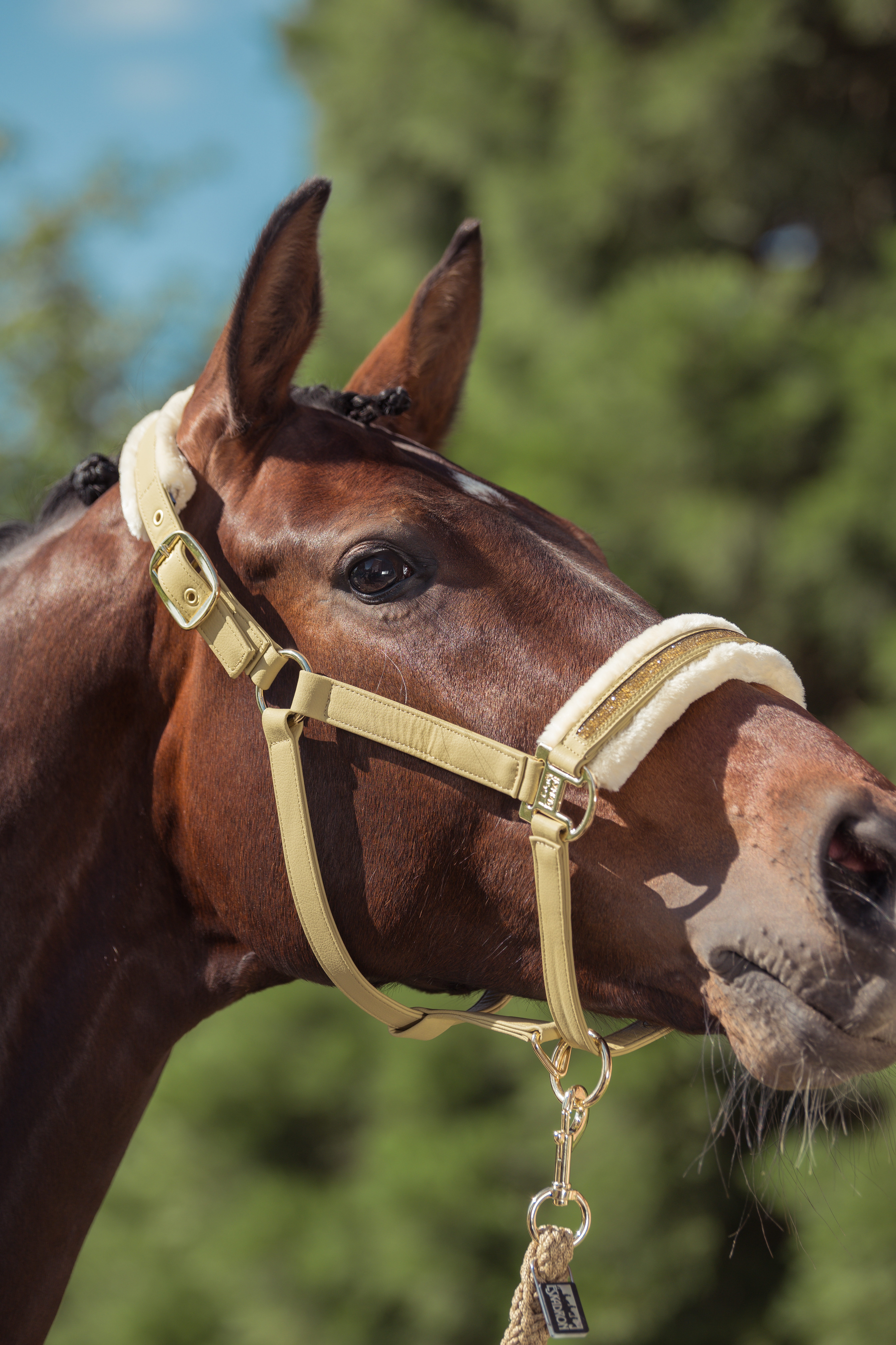 Halfter Heritage Faux Leather Jewel