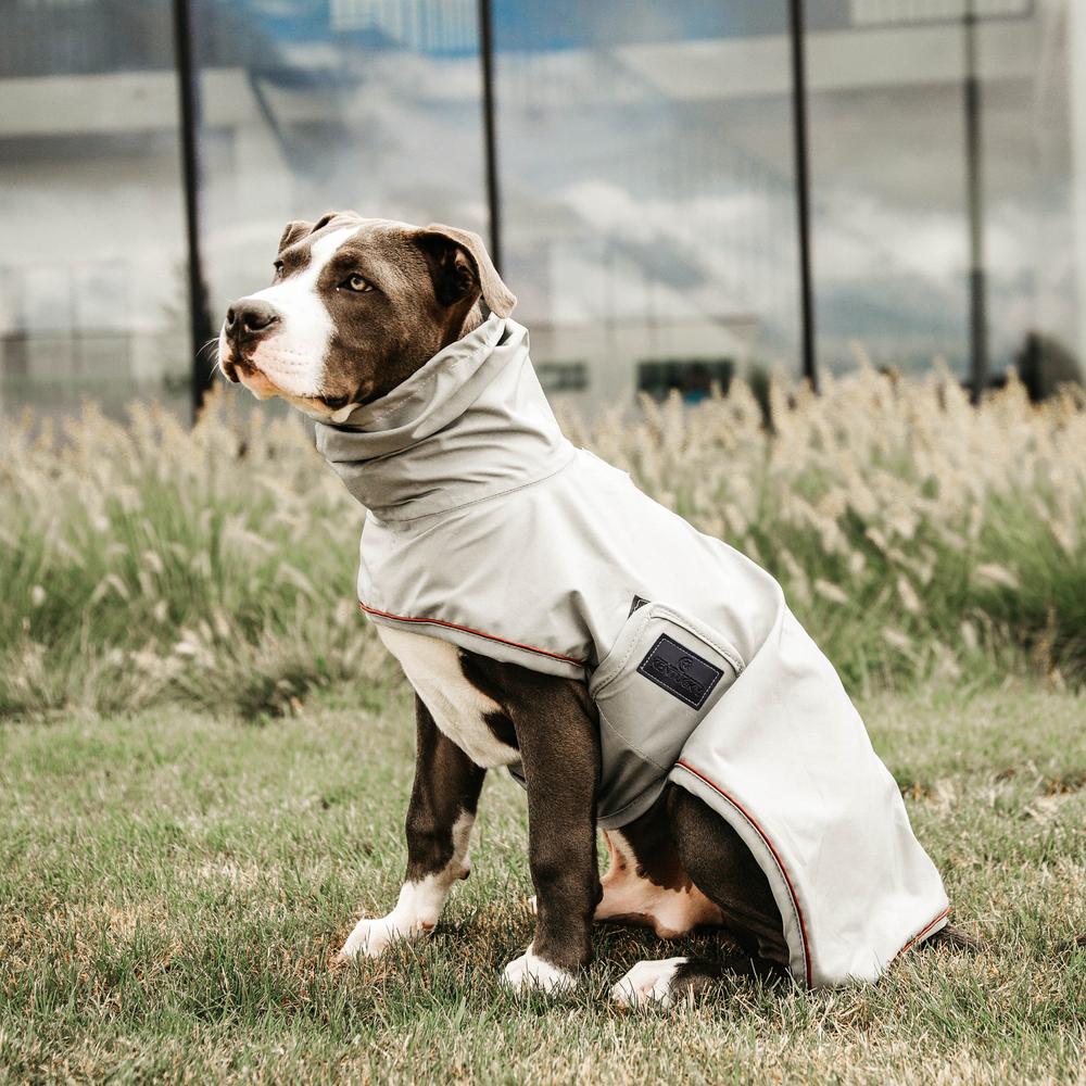 Hunde Regenjacke
