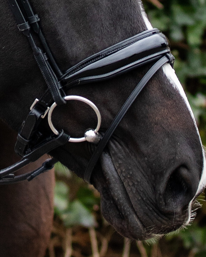 Snaffle Nehza