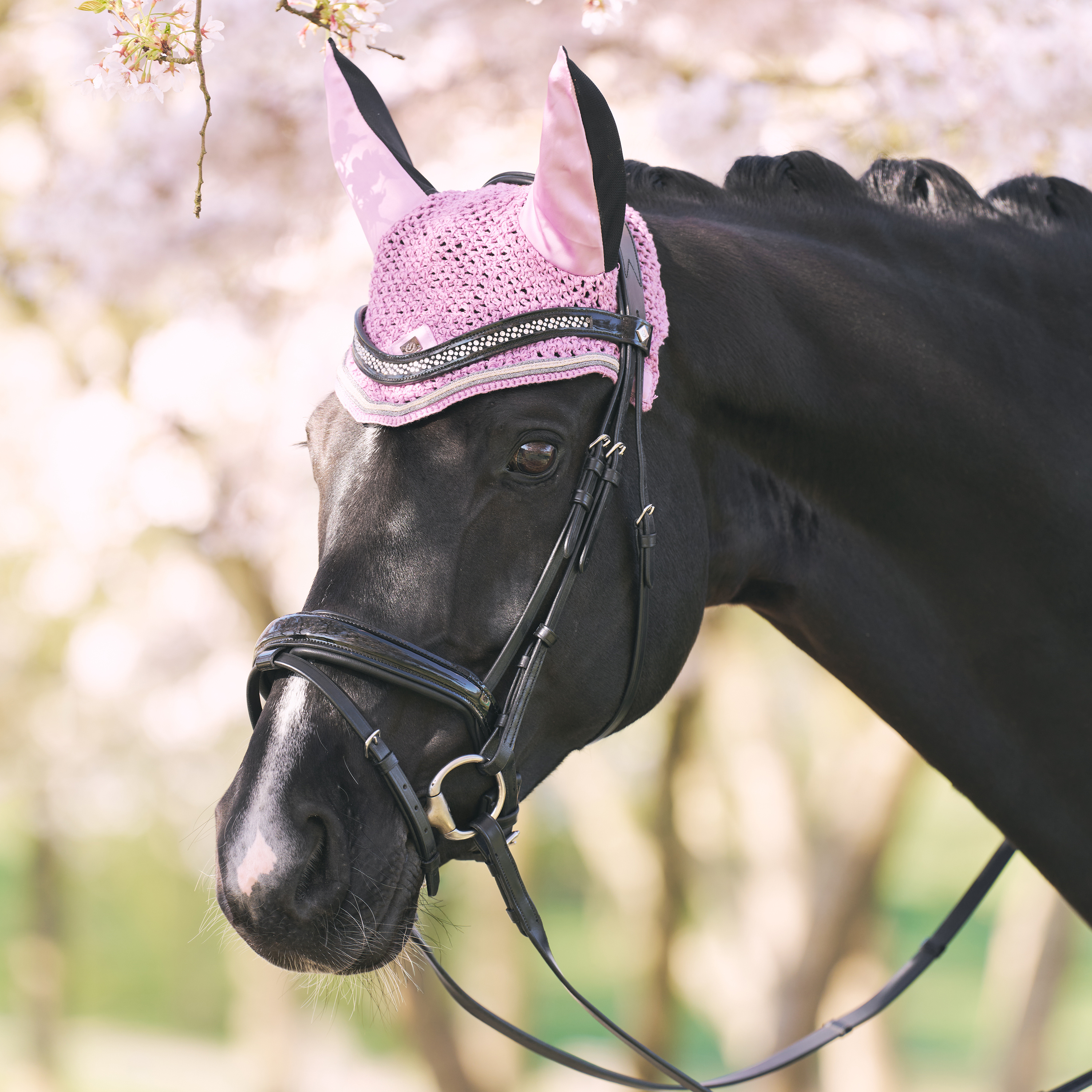 Fliegenhaube Lenny