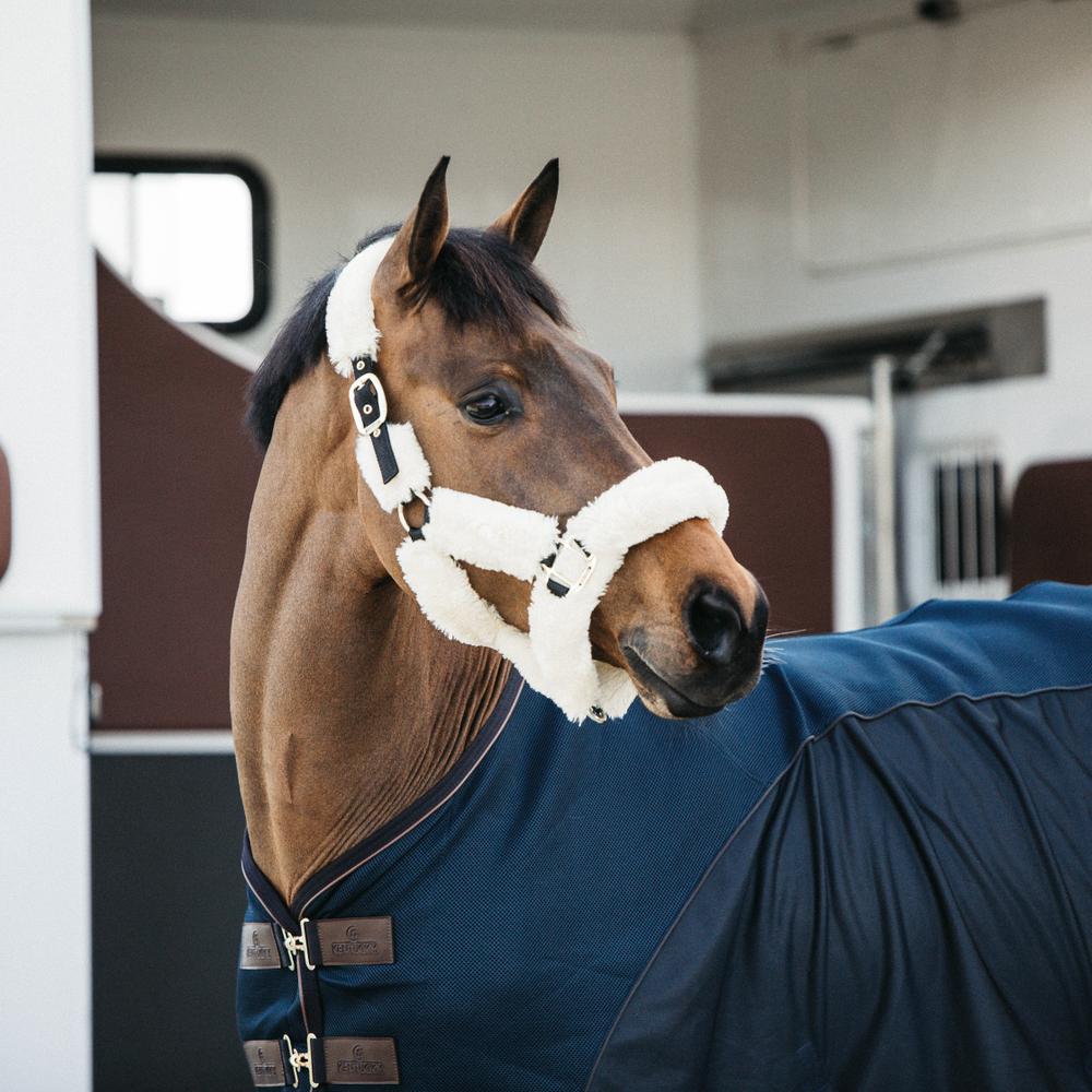Lamfell Transport licol