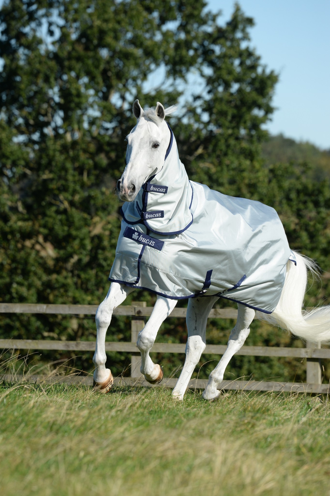 Halsteil Power Turnout Neck in Silver