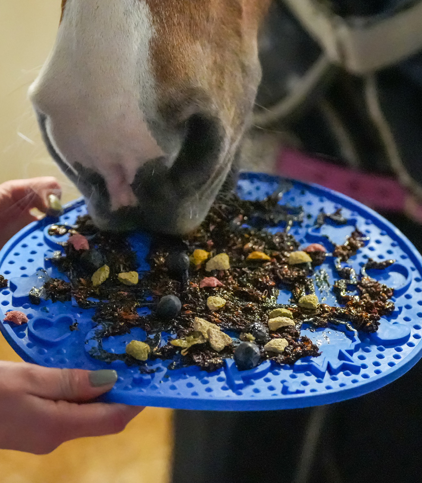 Likit Graze Maze Schleckmatte