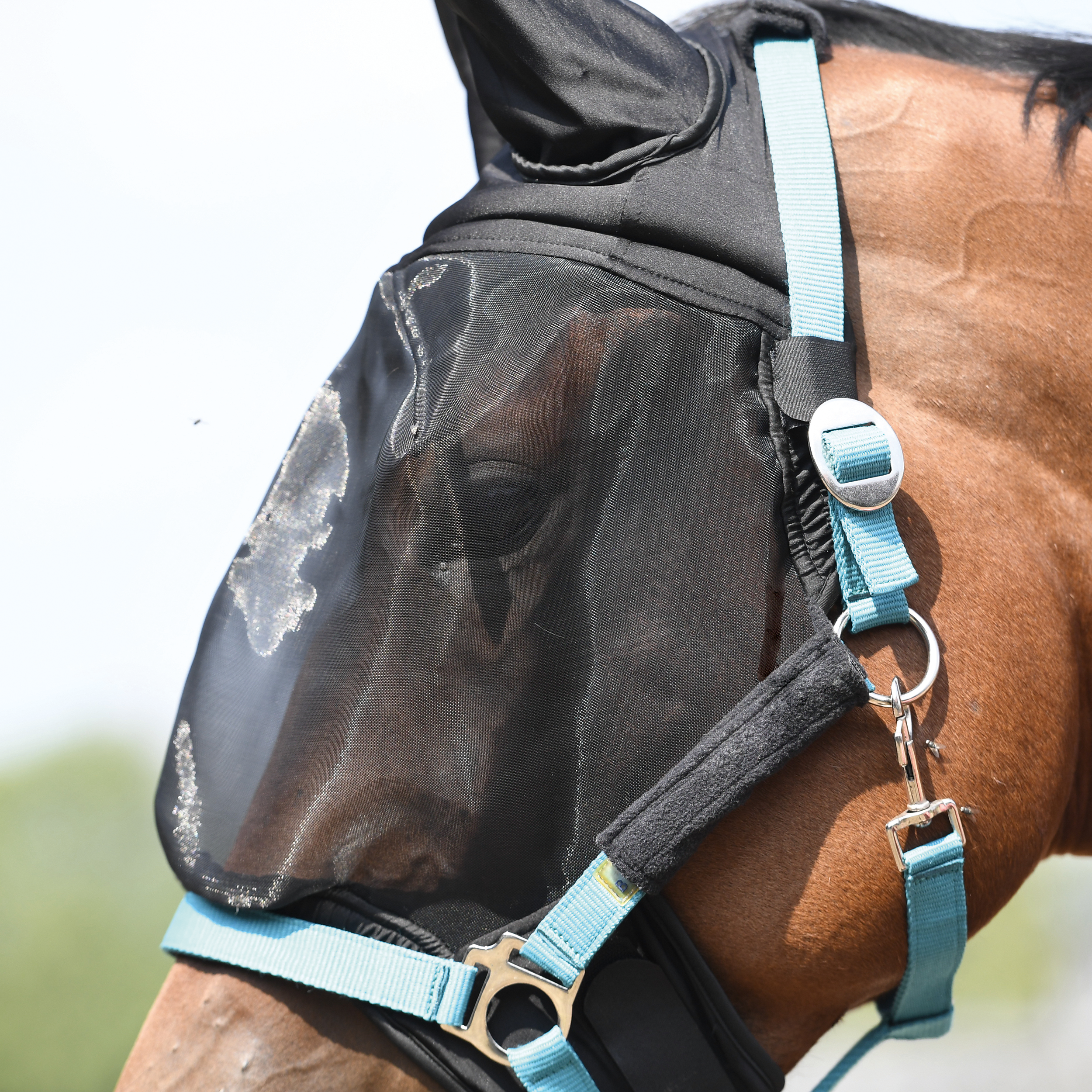 Masque anti-mouches Combi Plus