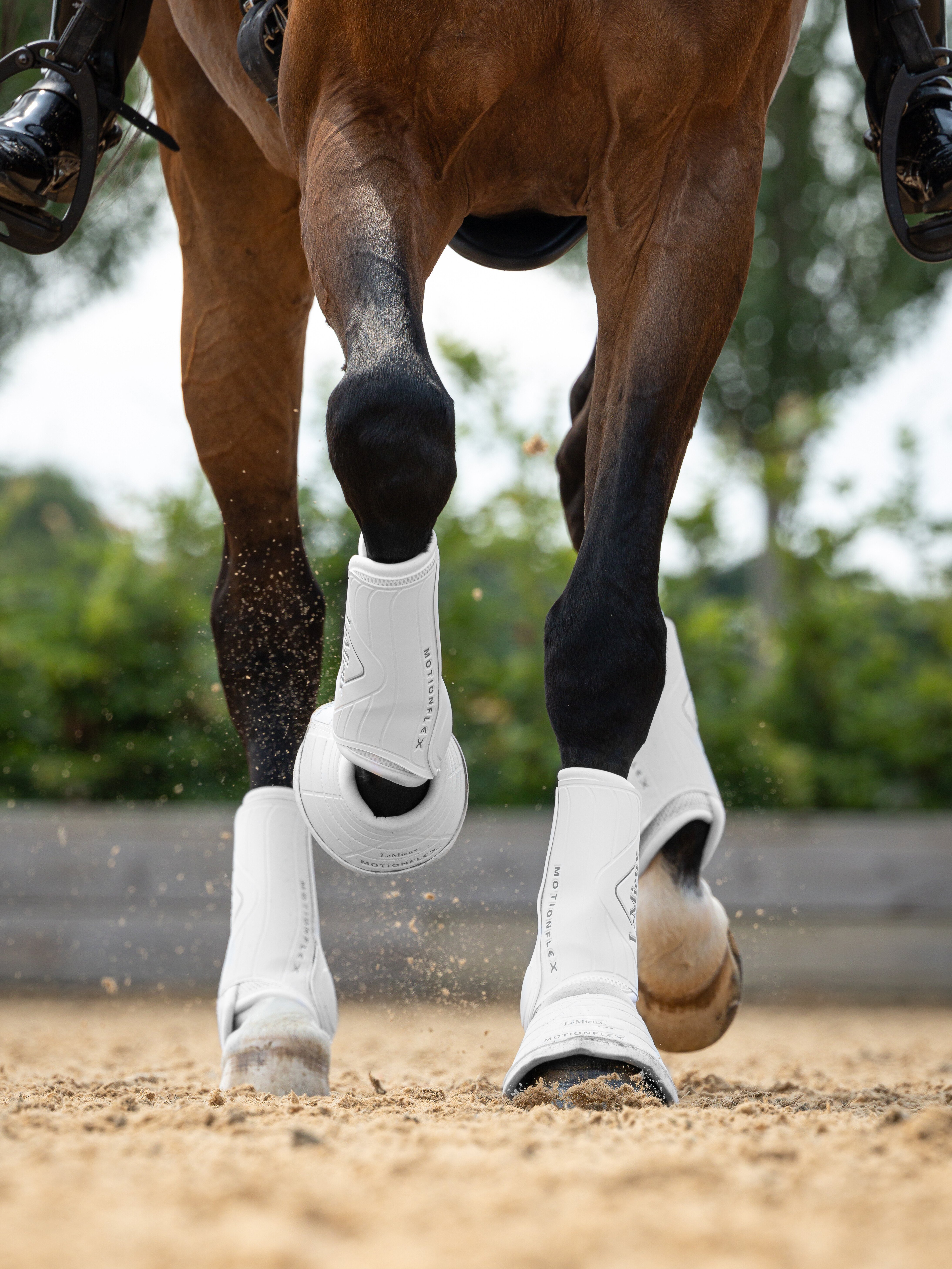 Motionflex dressage boots