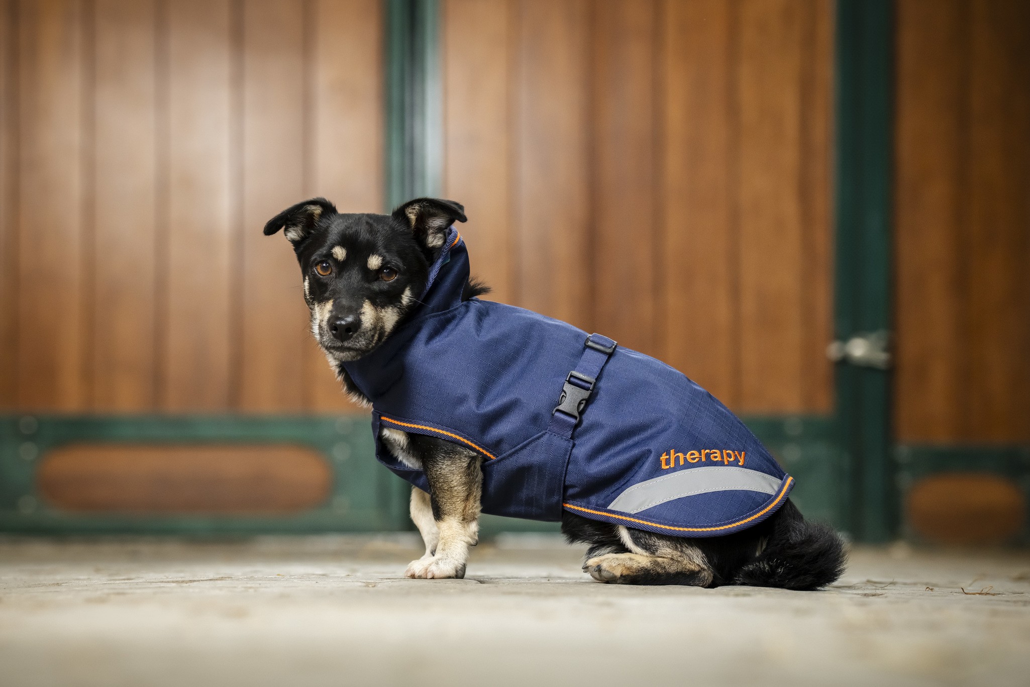 Hundedecke Therapy in Navy/Orange