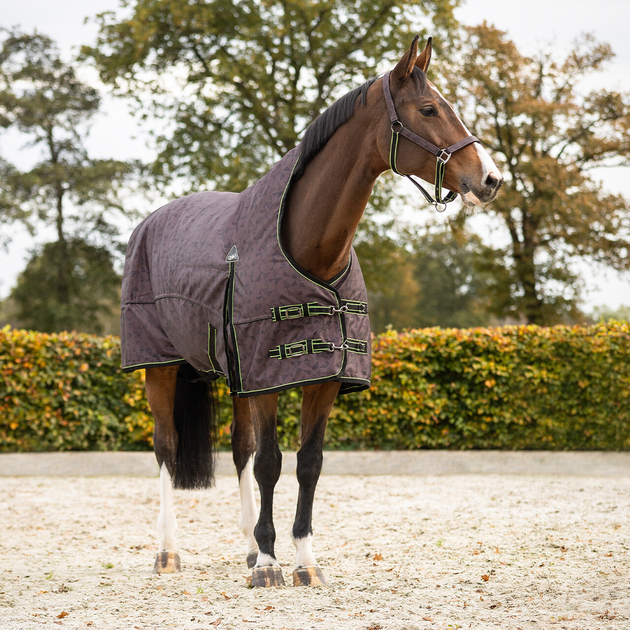 Turnoutdecke 1200D Collection halber Hals 150gr