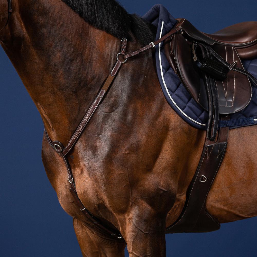 Vorderzeug mit Brücke