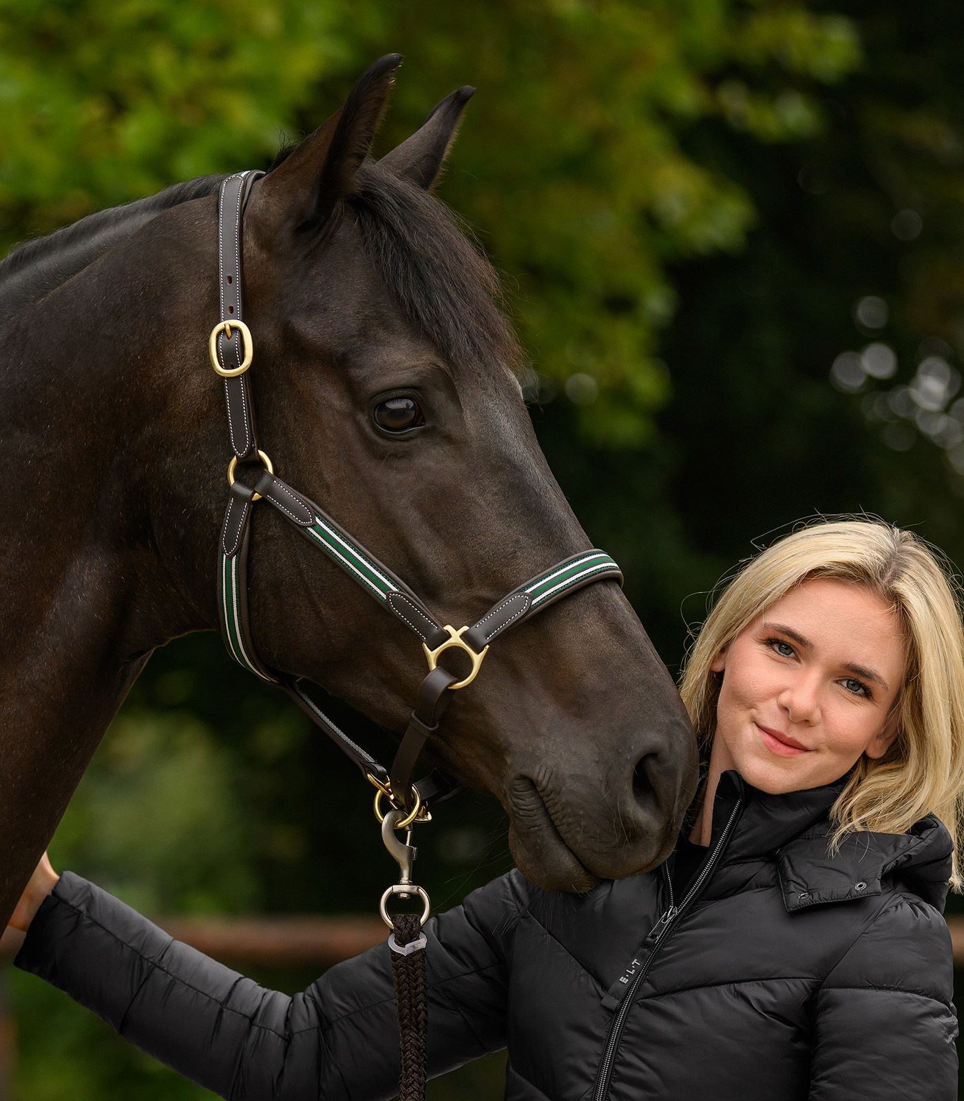 X-Line Lederhalfter Oxford in braun