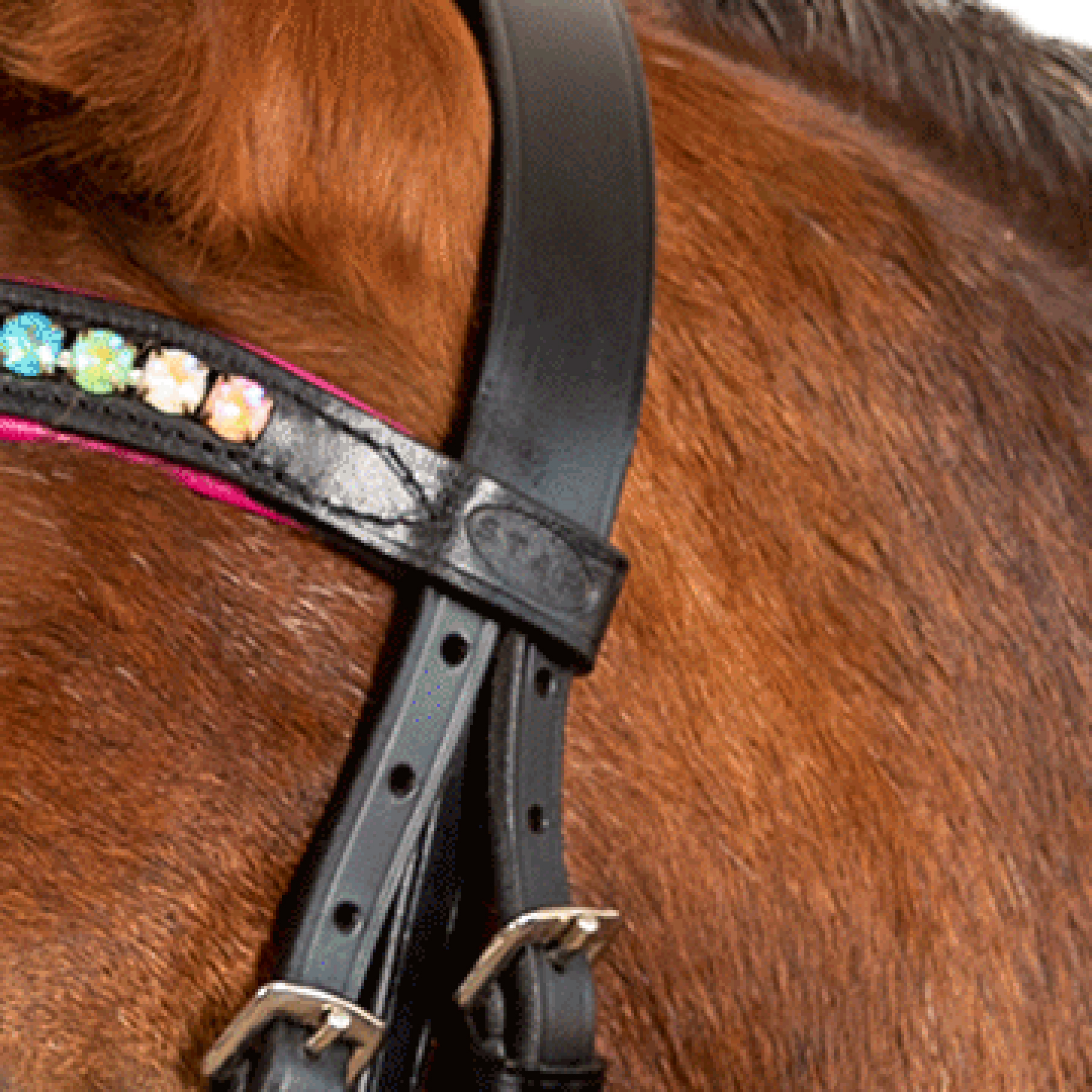 Snaffle bridle Pinky English comb.