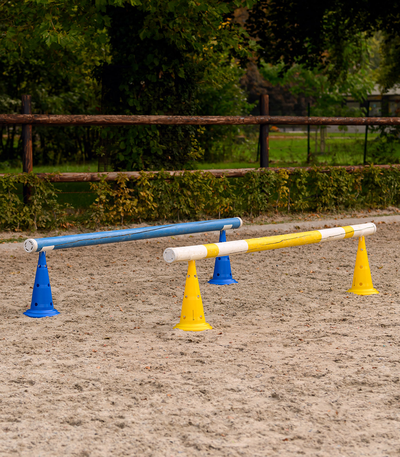 XL pylons set of 8 incl. carrying bag